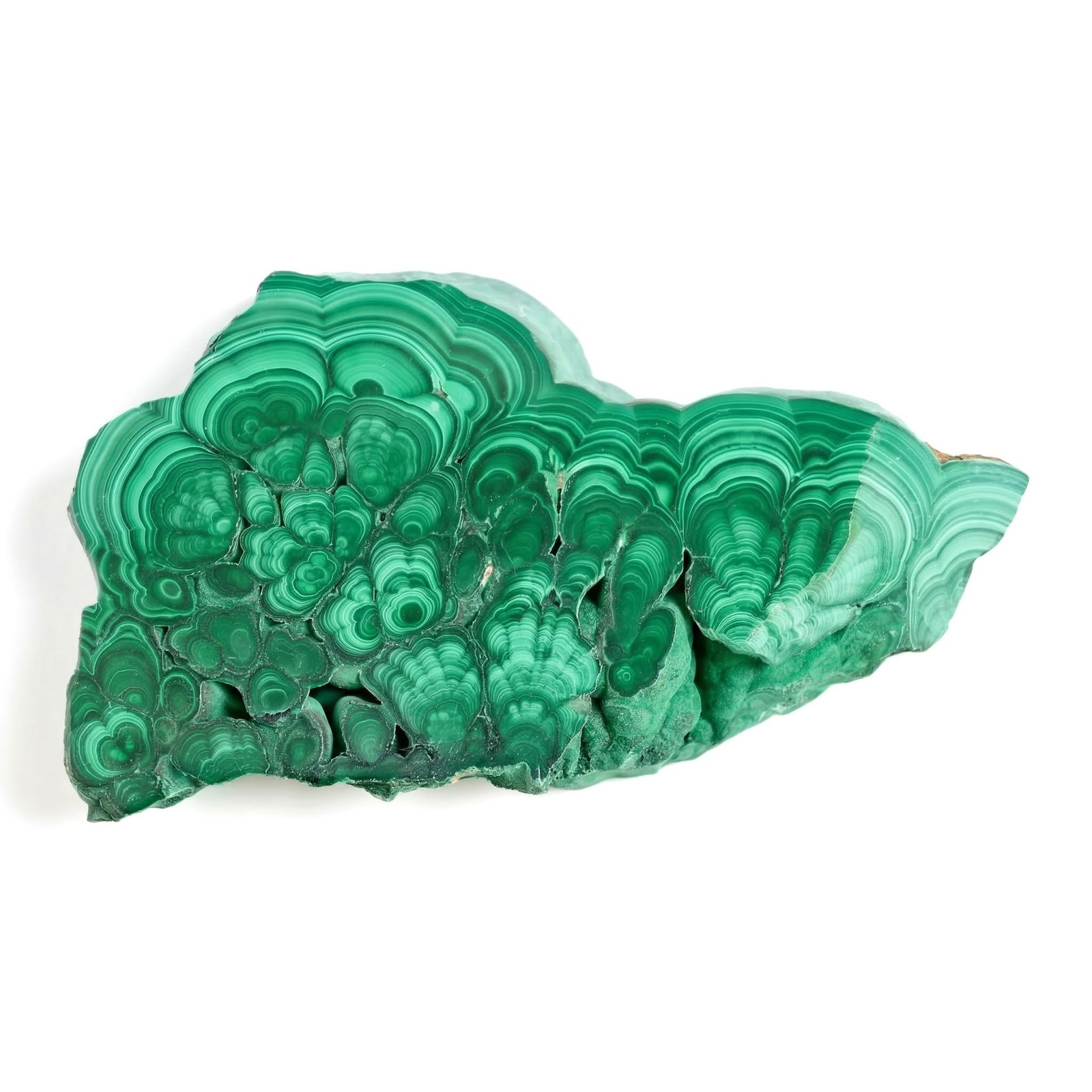 CrystalHola 1Pc Natural Malachite Slices,50-100g Small Size 50-100g, Green