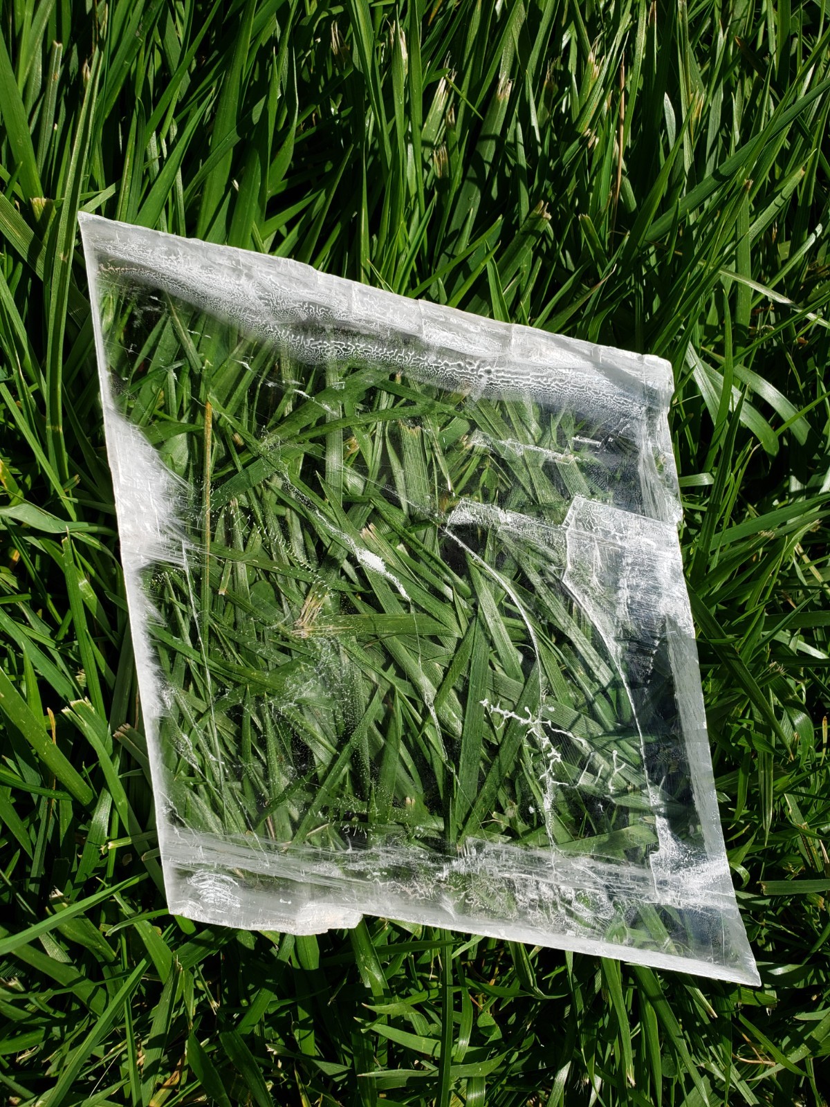 7″ HIGH QUALITY Raw Natural Clear Transparent Selenite Slab Slice Plate, 651g