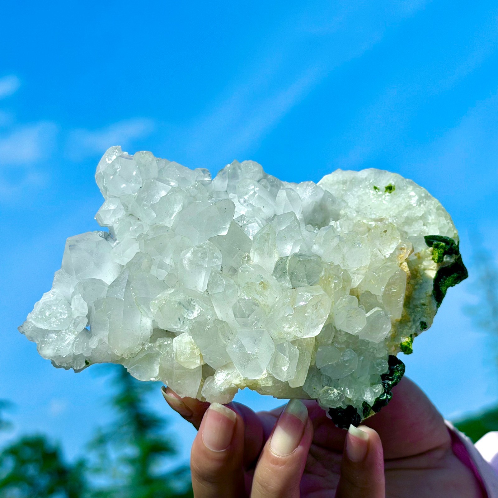 449G Rare!! Natural Clear Crystal with Epidote Garden Quartz Cluster Specimen