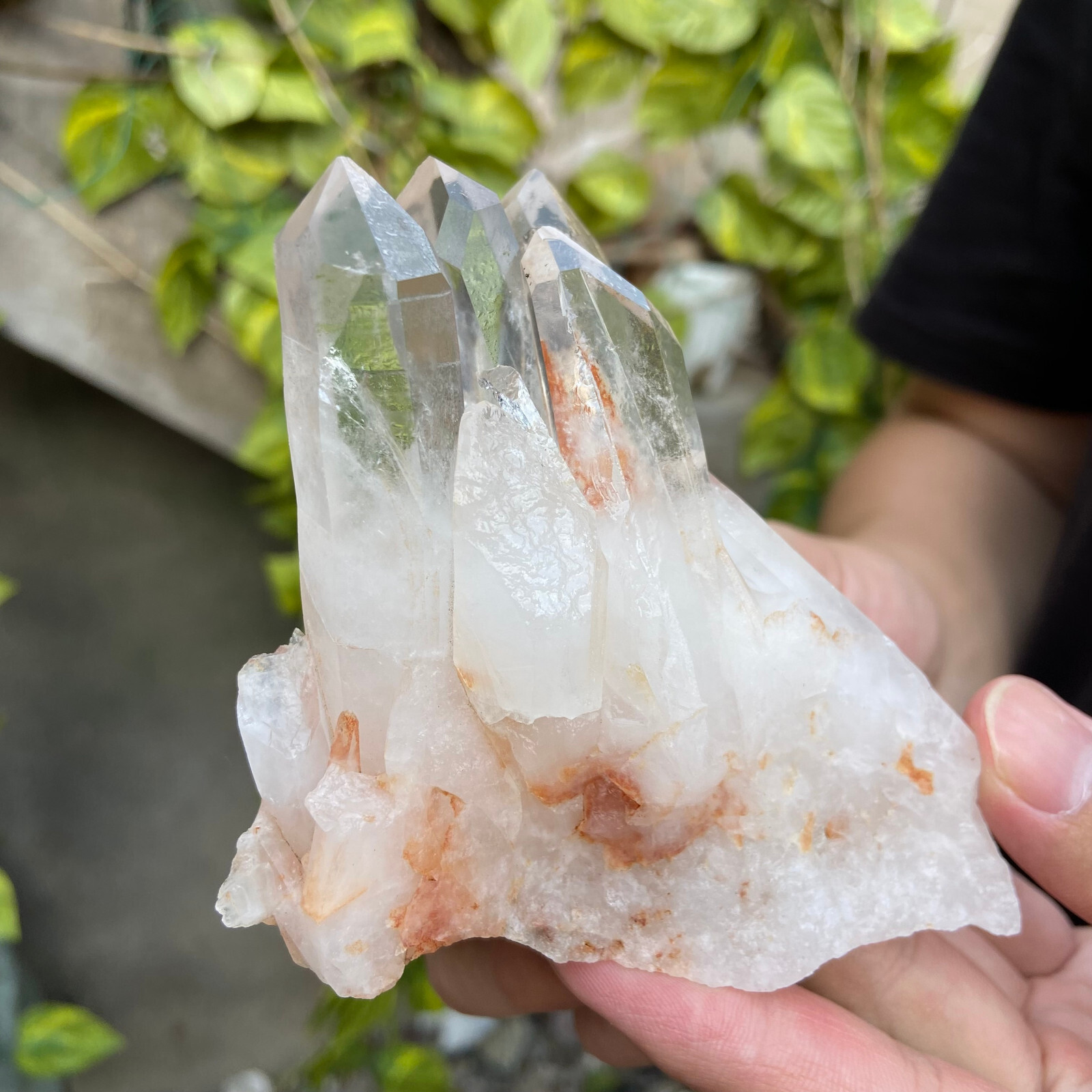 290g Natural Clear White Quartz Crystal Cluster Rough Healing Specimen