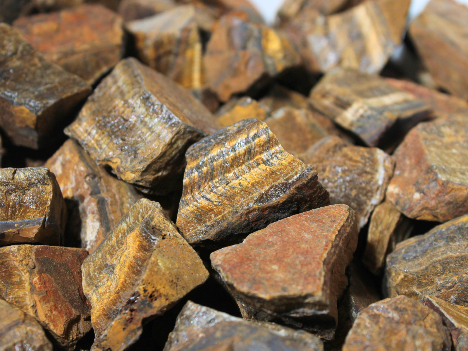 Gold Tiger’s Eye – Rough Rocks for Tumbling – Bulk Wholesale 1LB options
