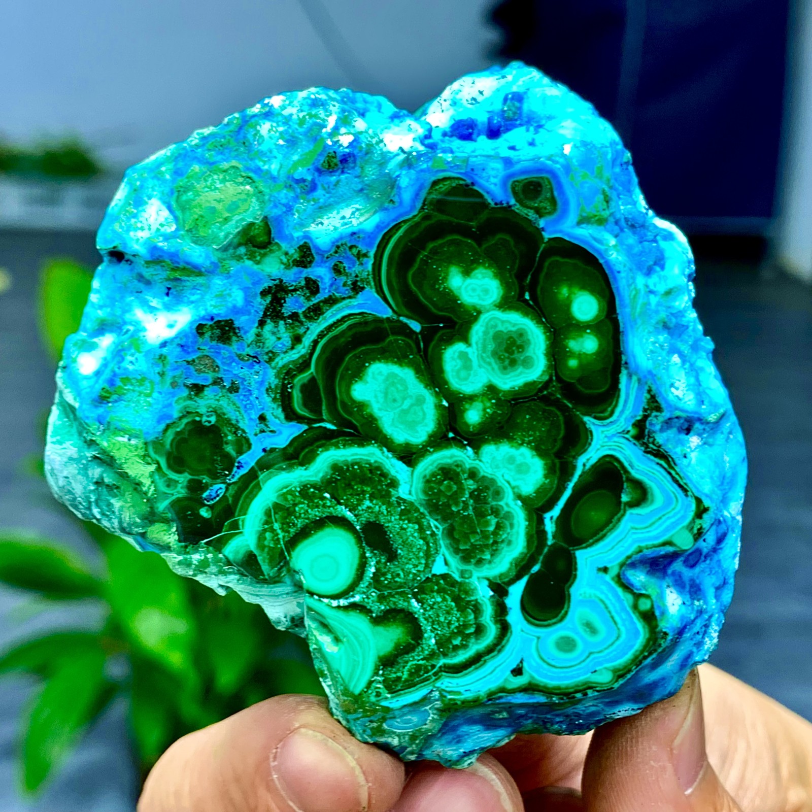 205G Natural Chrysocolla/Malachite transparent cluster rough mineral sample