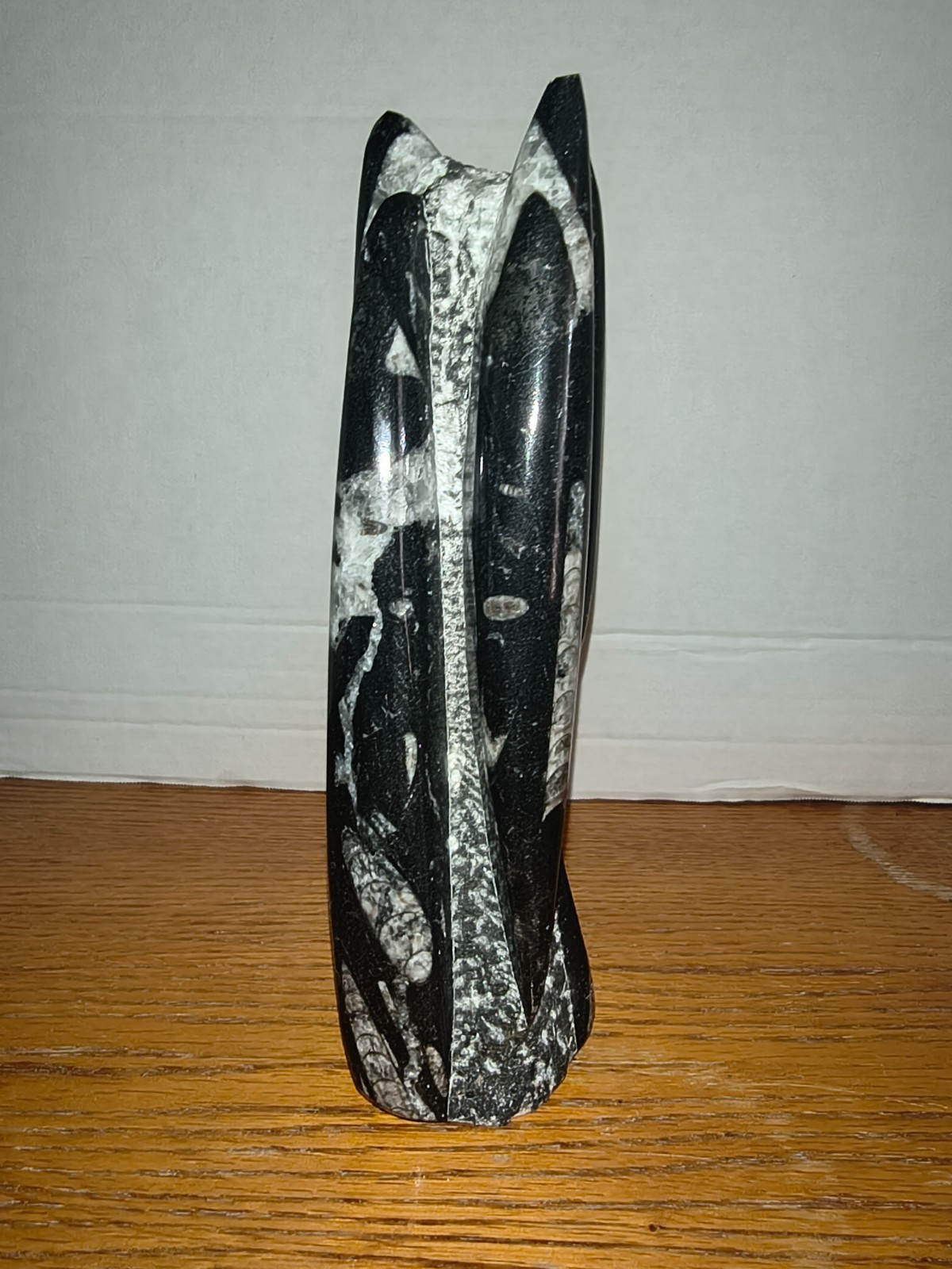 Orthoceras limestone statue! 3 pounds, 9 inches tall, 2.5″ wide