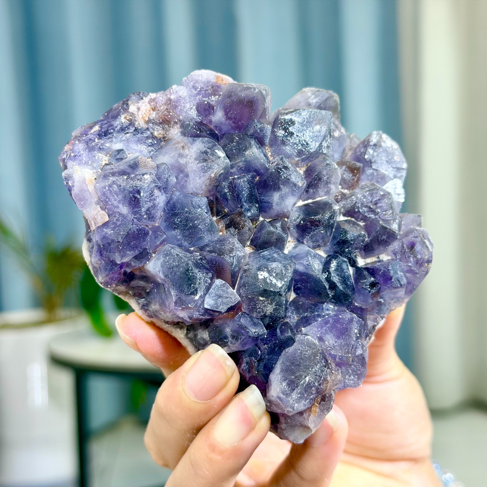 482G Natural Amethyst geode quartz cluster crystal specimen Healing