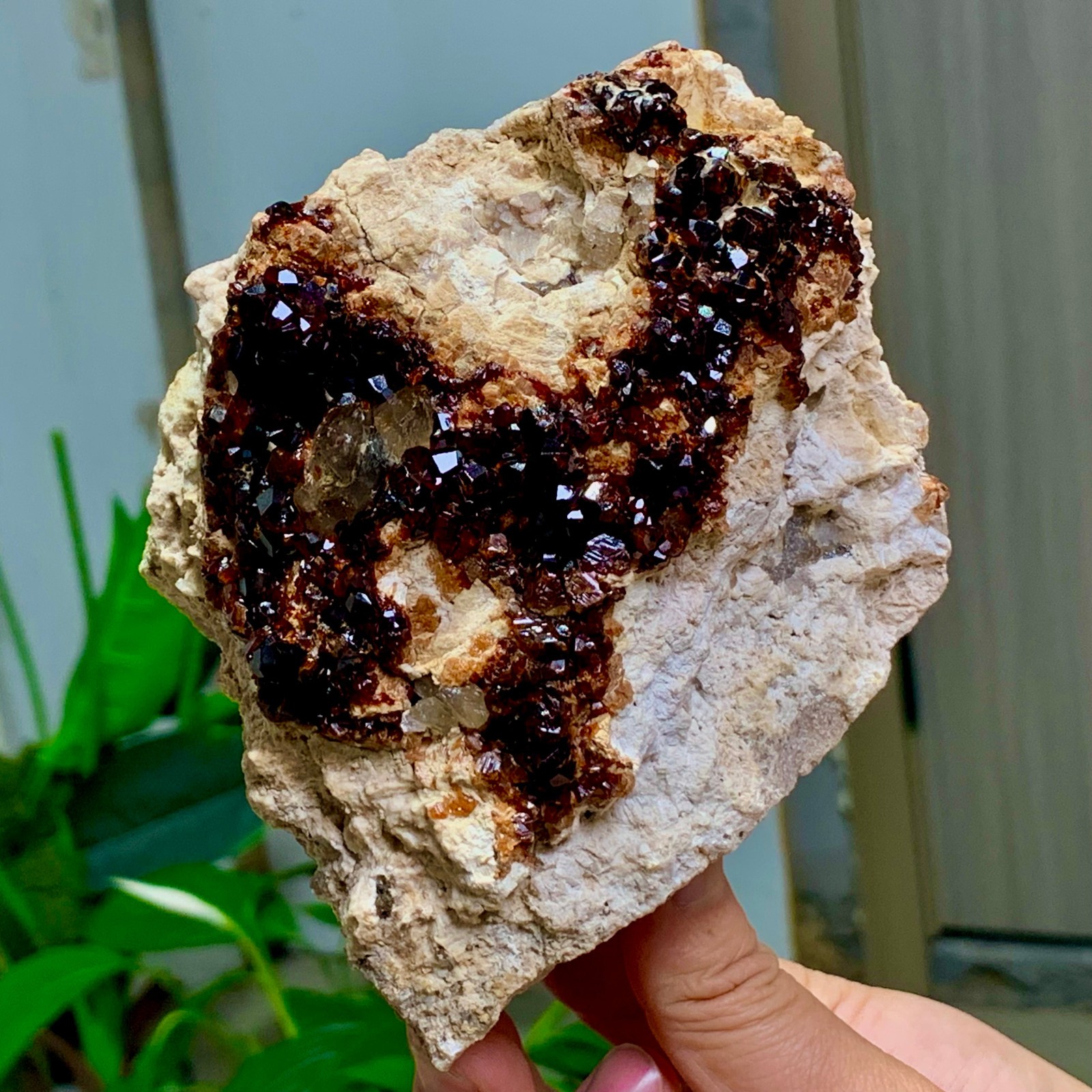 1.92LB Natural Garnet with smokey quartz cluster Crystal Mineral Specimen
