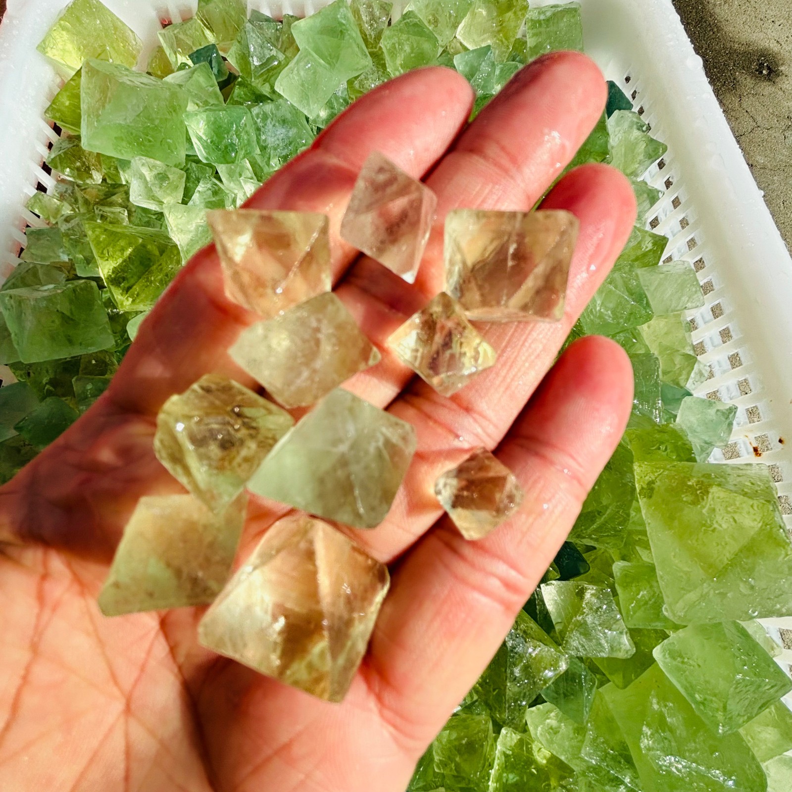 2.2 LB Natural Green Fluorite Octahedron Quartz Crystal Point Healing Gift