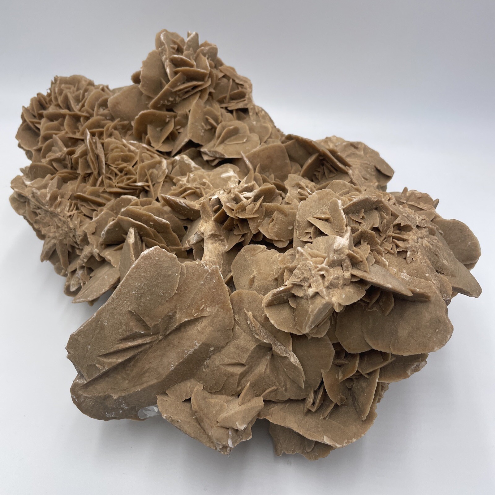 #1 Selenite Gypsum Crystal Desert Rose Specimen 11lb 10oz (5280g) Cluster