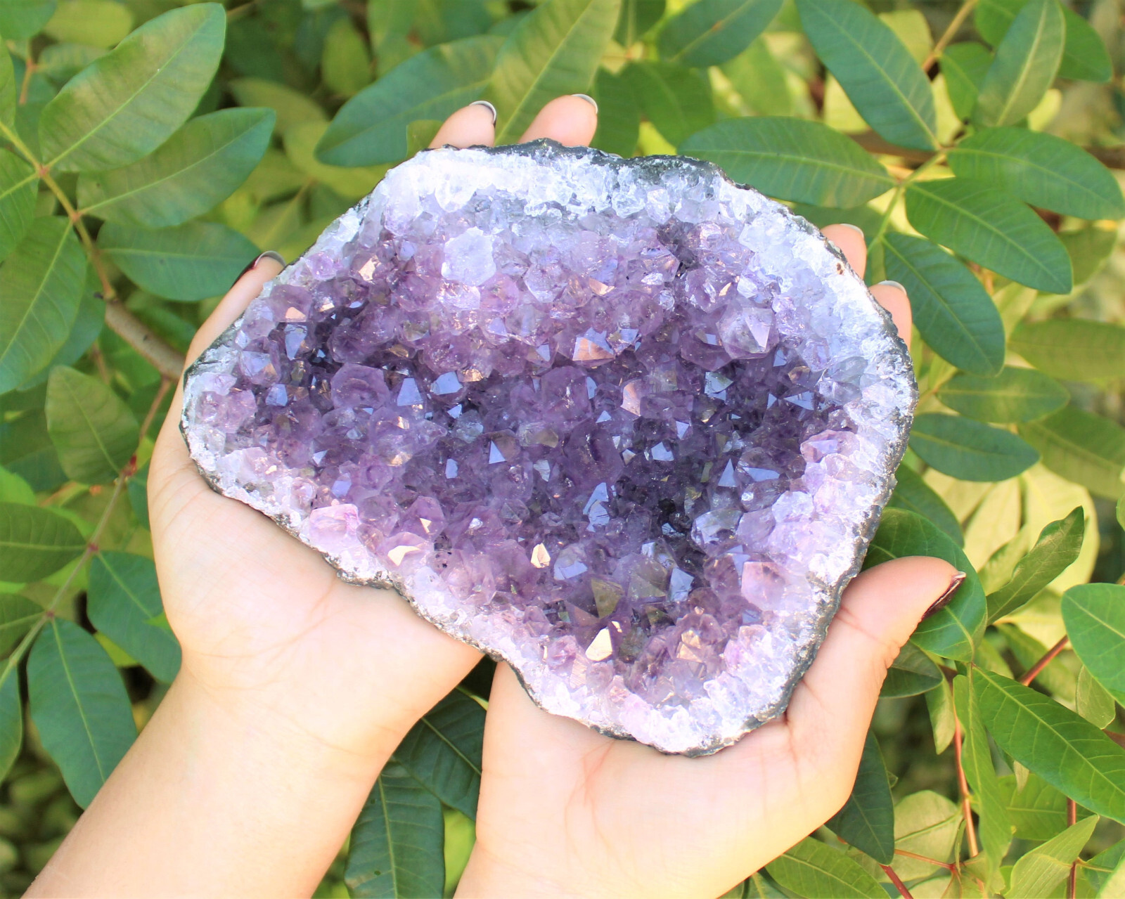 Clearance Amethyst Crystal Clusters – Natural ‘B’ Grade Cluster Druze Specimens