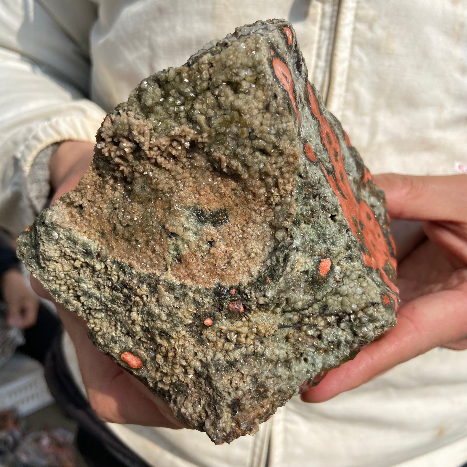 2.5lb Natural colourful ocean jasper raw stone crystal rough mineral specimen