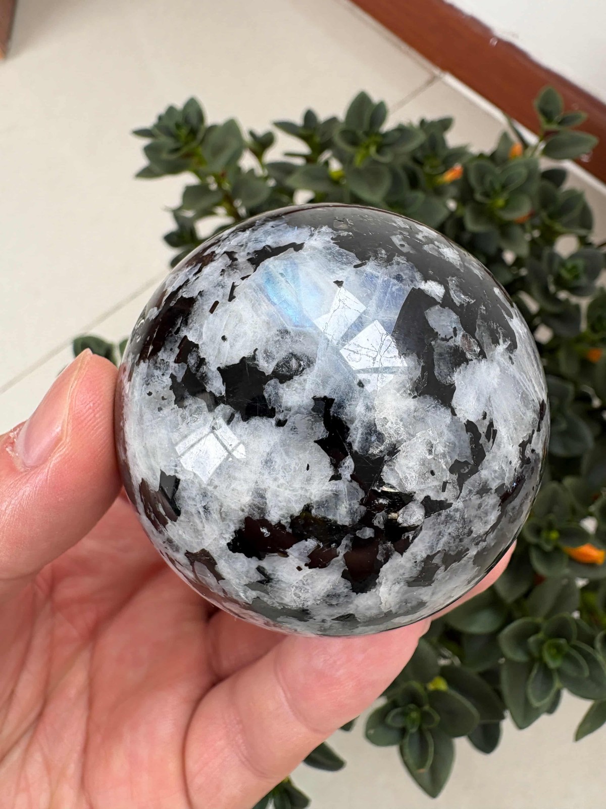 Natural Black And White Moonstone Sphere 2.55″ 0.677 lb Crystal Ball Healing