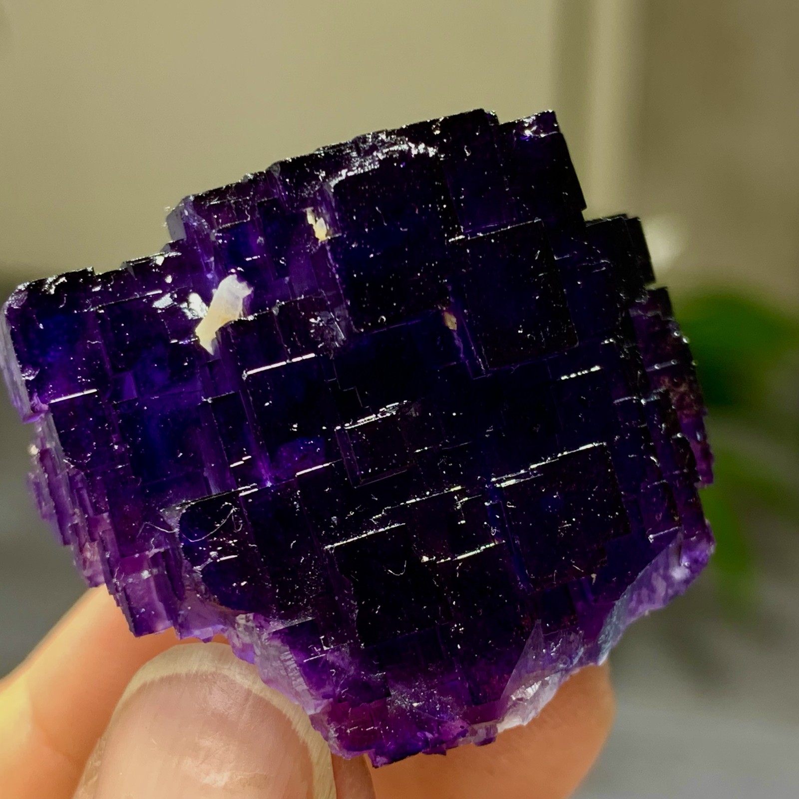 40G Natural purple framed cubic fluorite mineral specimen/Inner Mongolia