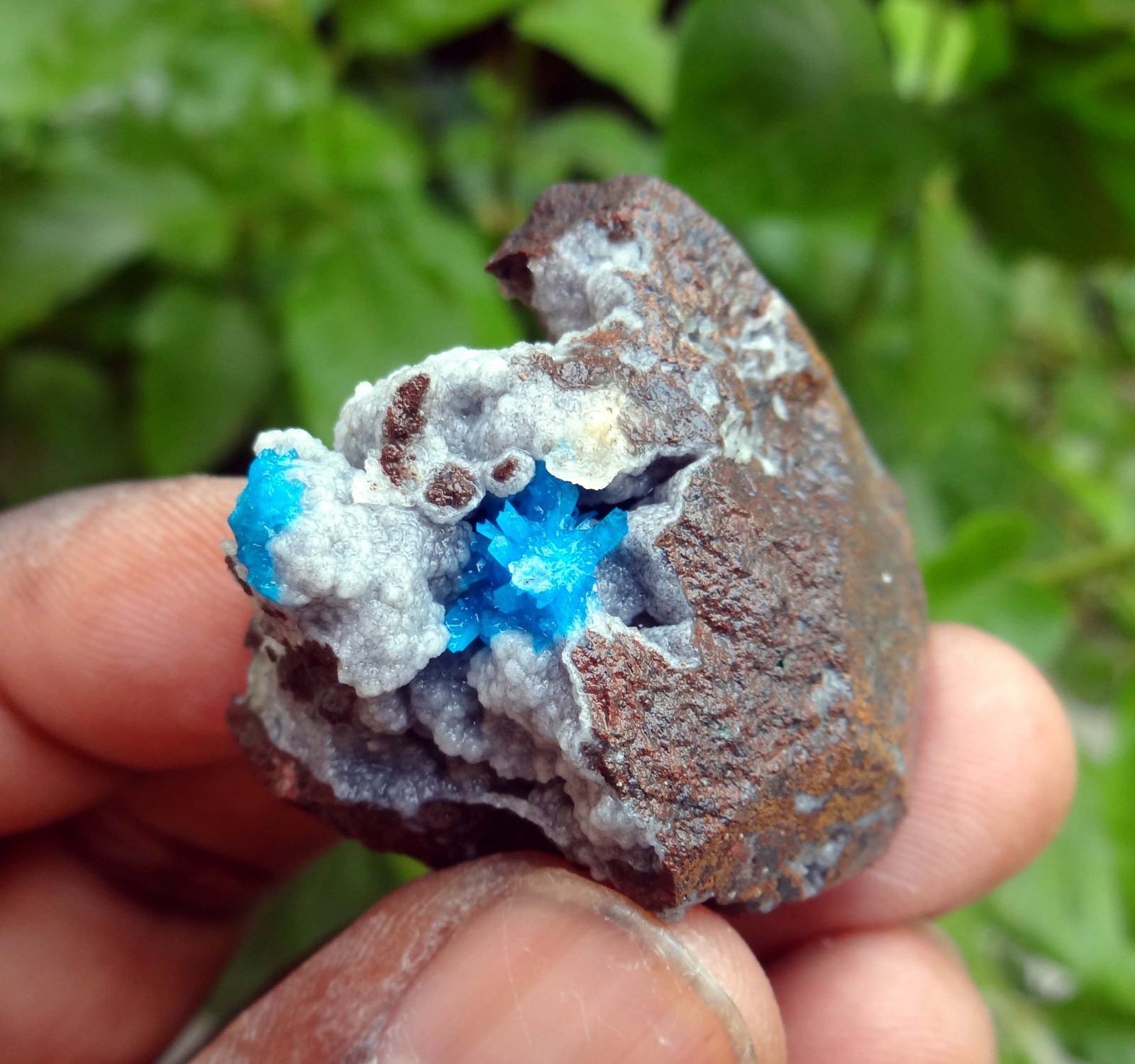cavncite & matrix minerals specimen j-6