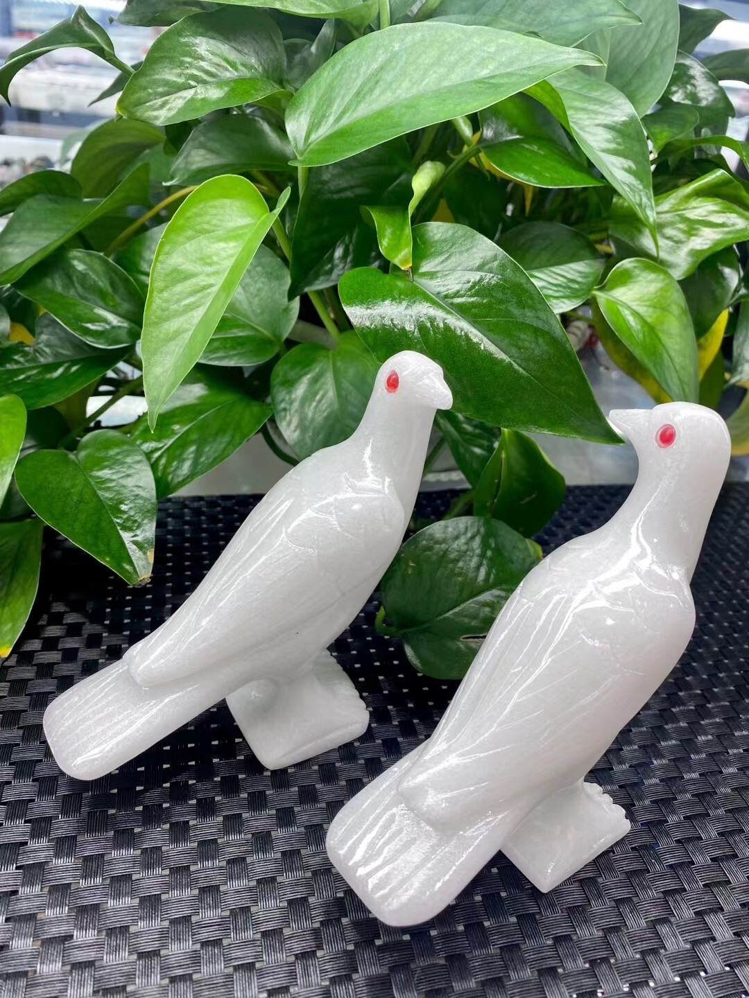 Natural White jade Quartz Crystal Carved Bird Skull Decor Healing random 1pc