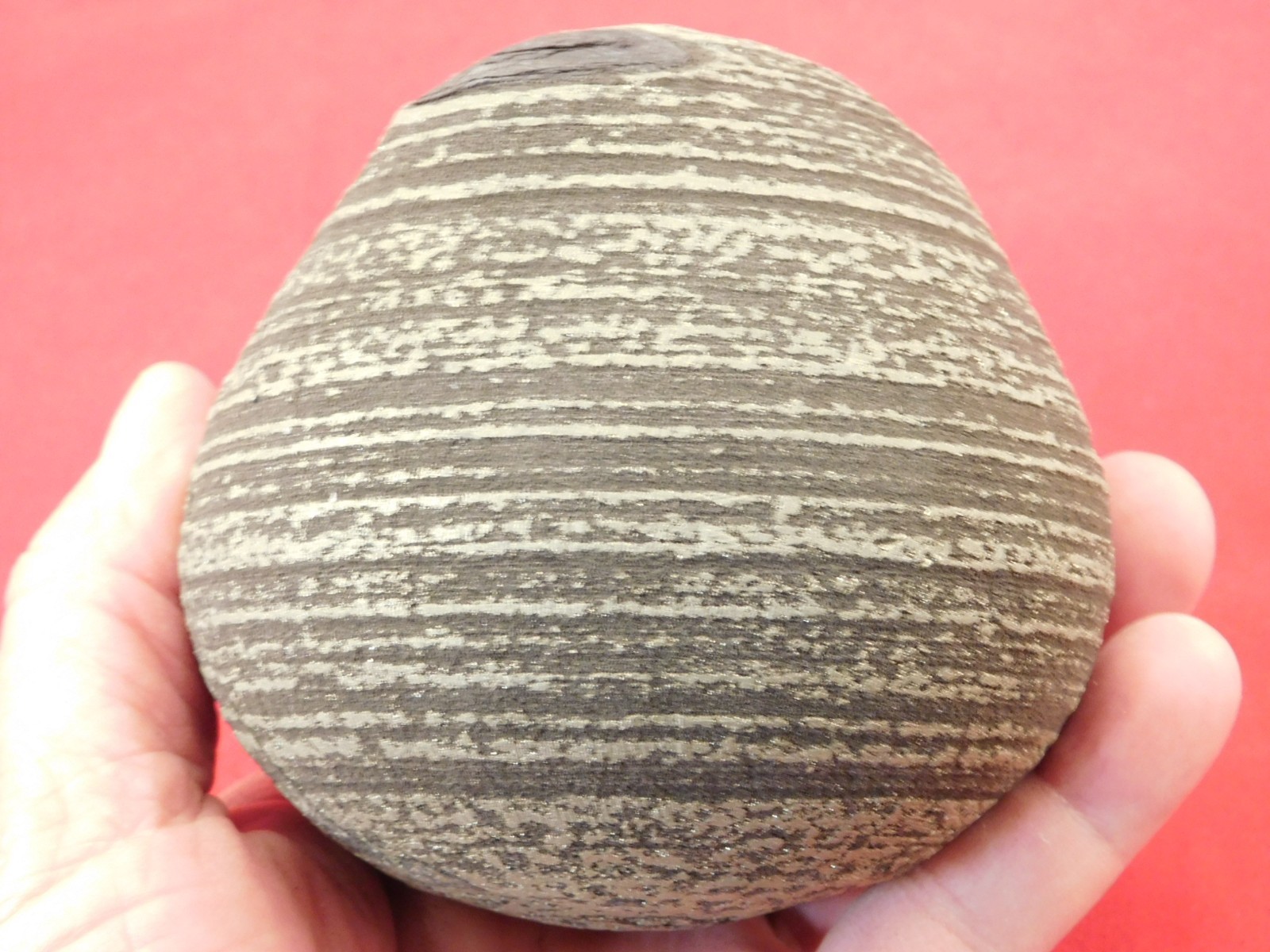 BIG! 100% Natural Ringed PYRITE Concretion From China! With Stand 1241gr