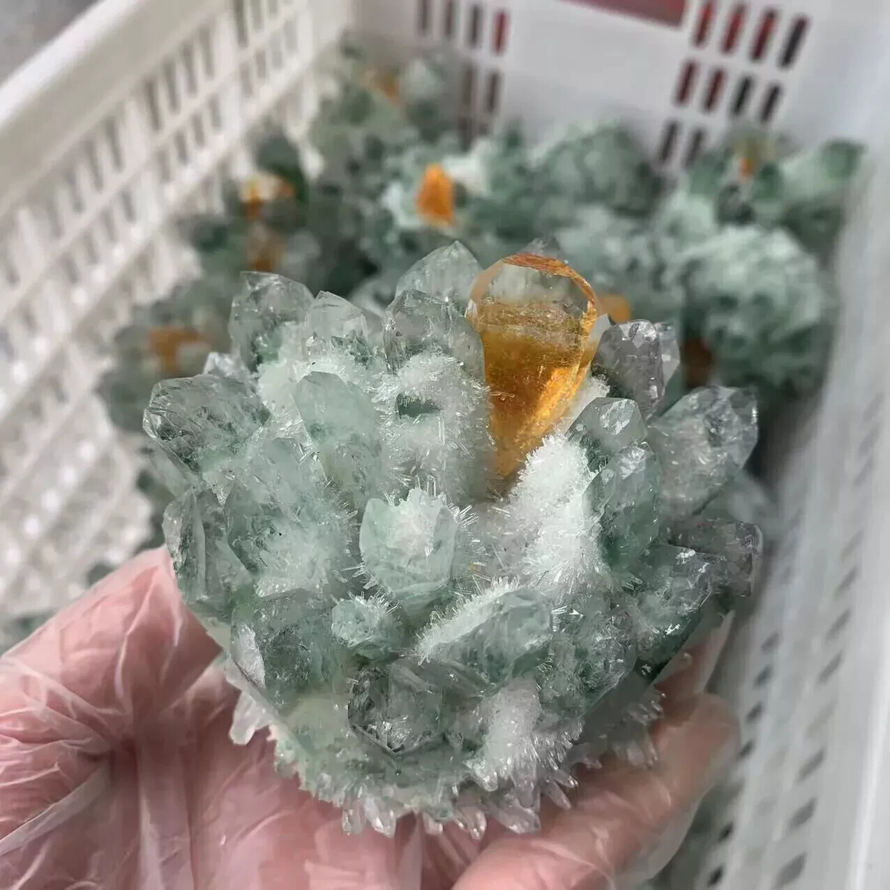 300g+New find Green Yellow Phantom Quartz Crystal Cluster Mineral Specimen Gem