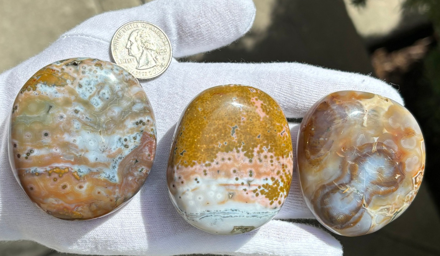 US SALE 297g LOT 3 OCEAN JASPER with 8th VEIN 8 OJ PALM STONES PALM STONE STONES