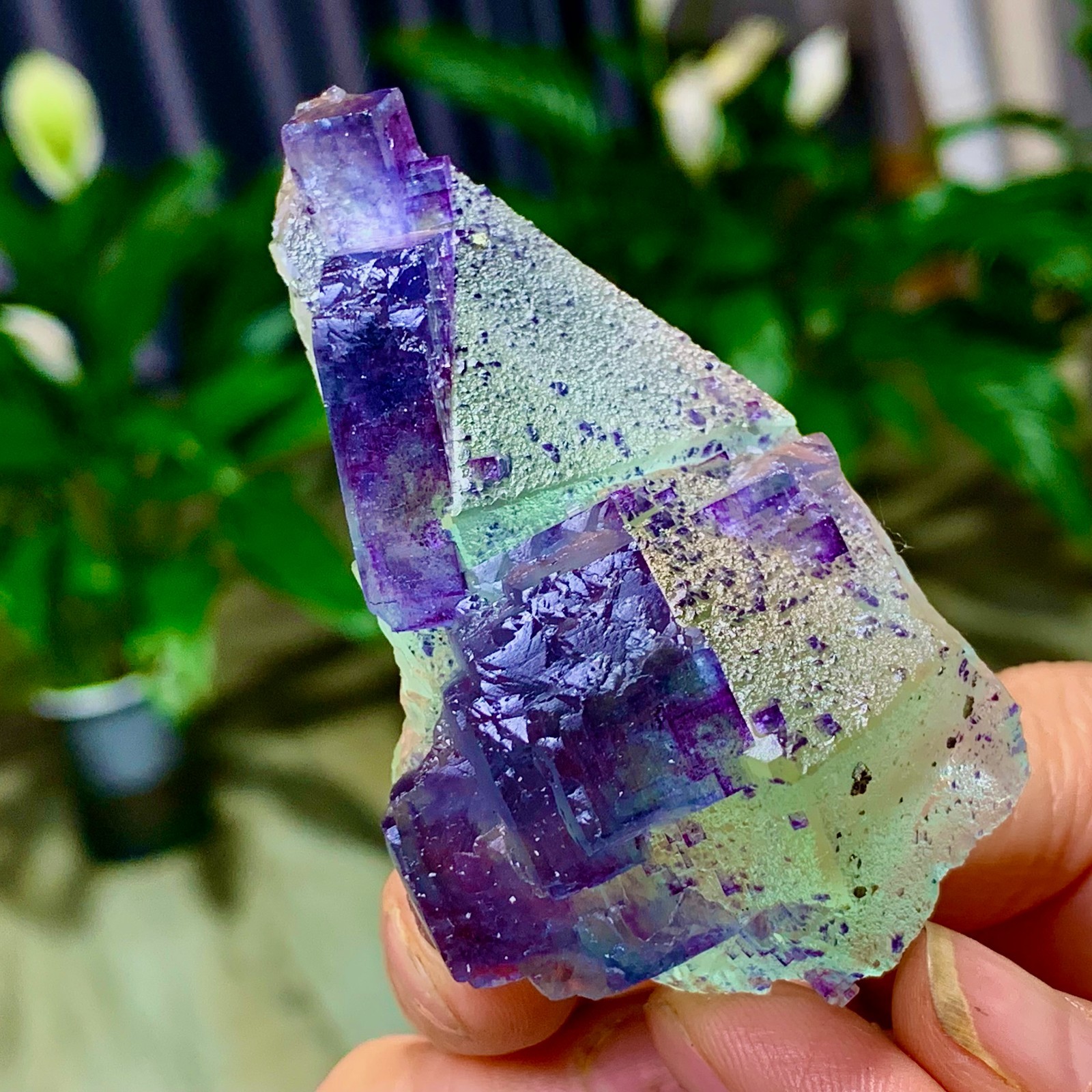 86G Rare transparent green purple cubic Zhejiang fluorite mineral sample
