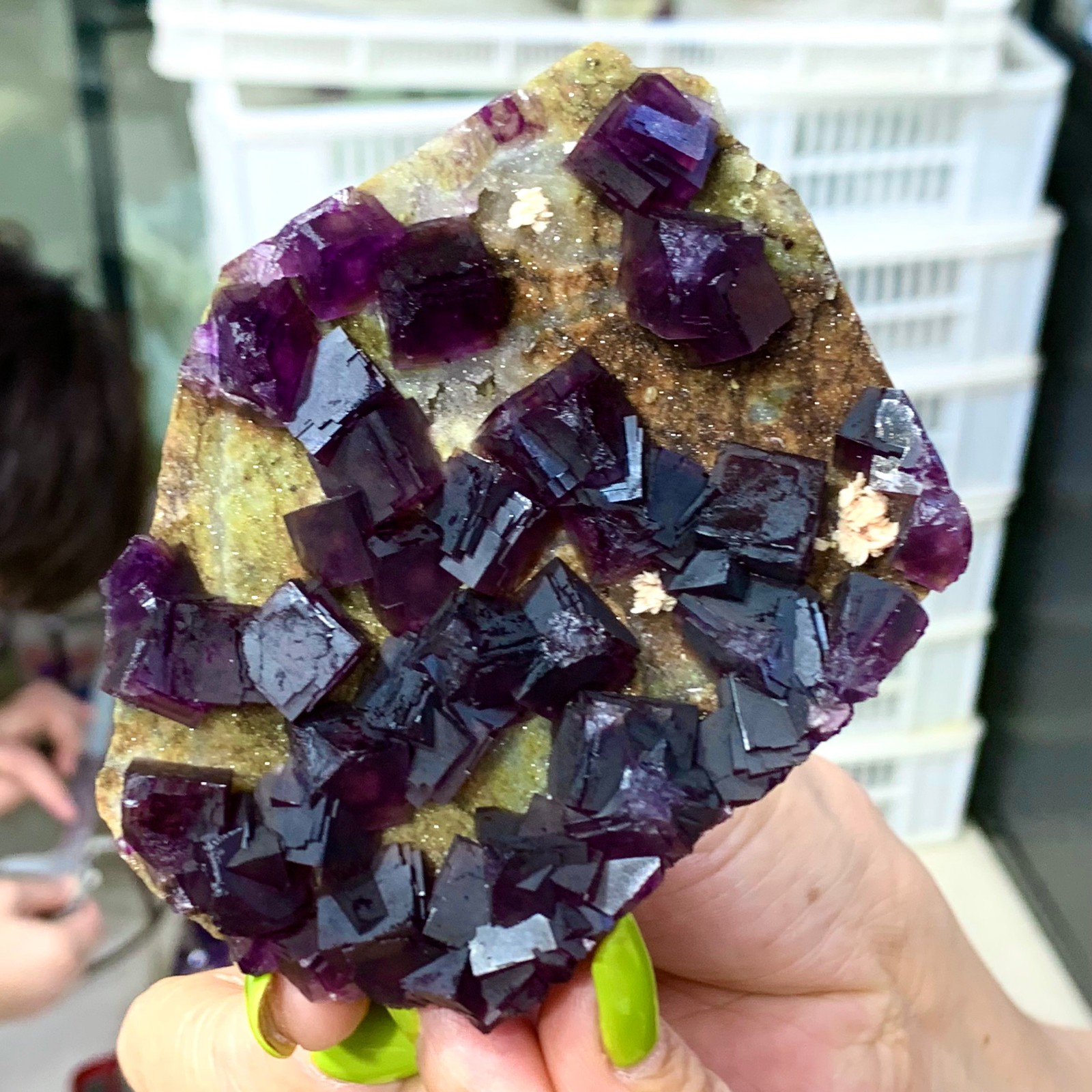 331G Rare Purple cubic fluorite mineral crystal sample/Zhejiang