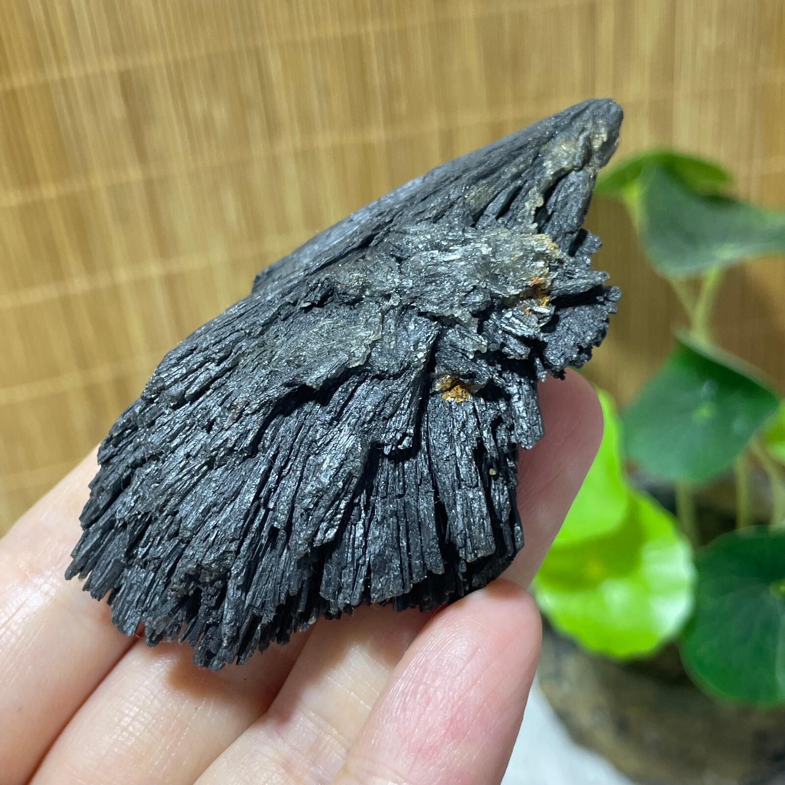 64g Natural Irregular natural black crystal cluster mineral specimen（dian qishi）