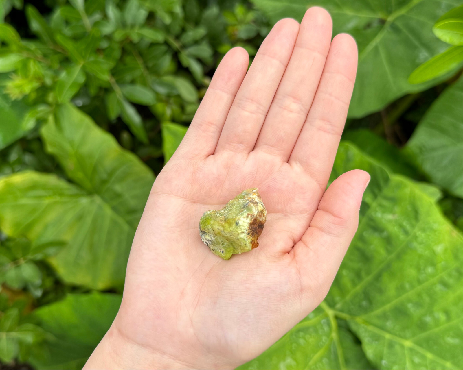 1 Single Natural Rough Green Opal Gemstone Specimen Crystal Raw Rock Stone
