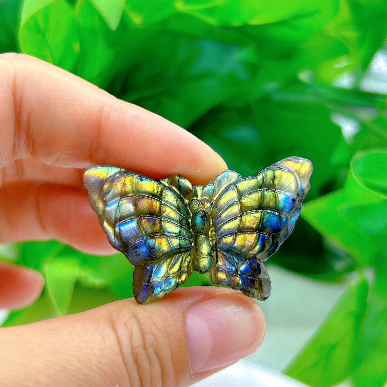 Natural labradorite Butterfly Hand Carved crystal Healing