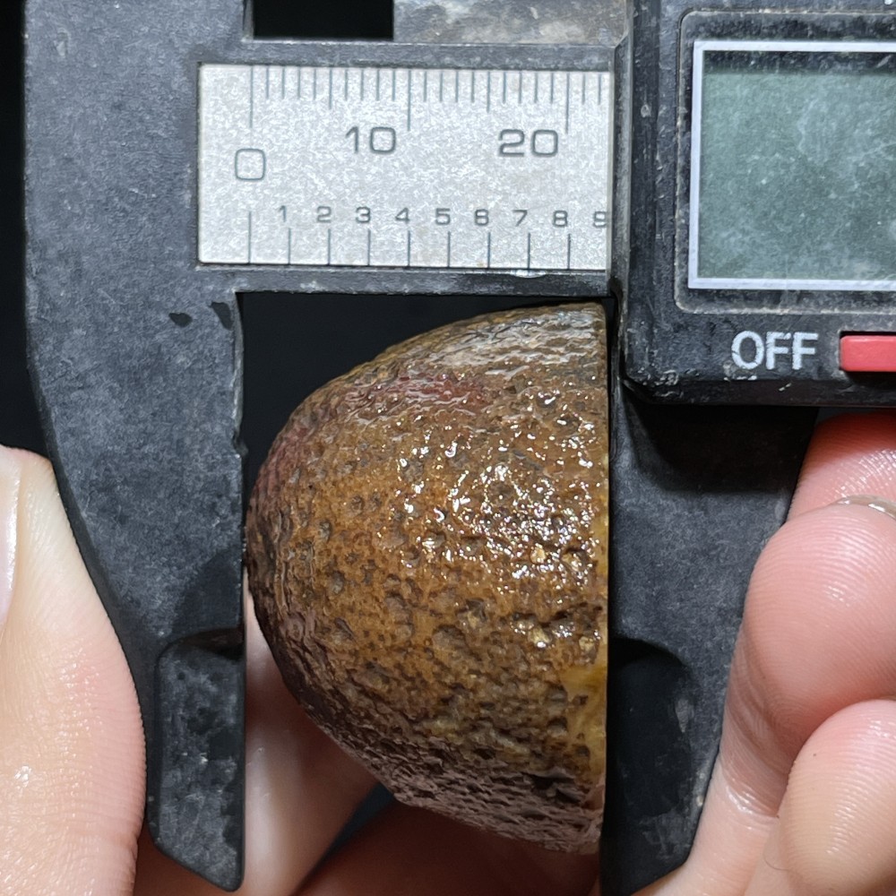 Natural half Rough Chinese Agate crystal geode Achat Nodule Hebei 41g D756