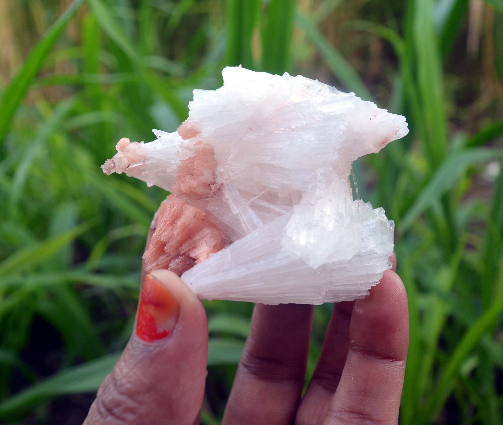 scolecite spray w/ stilbite minerals specimen j-7