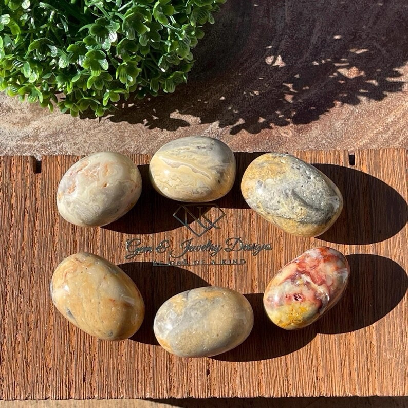 Natural Crazy Lace Agate Crystal Tumble – Root, Sacral, and Solar Plexus Chakra