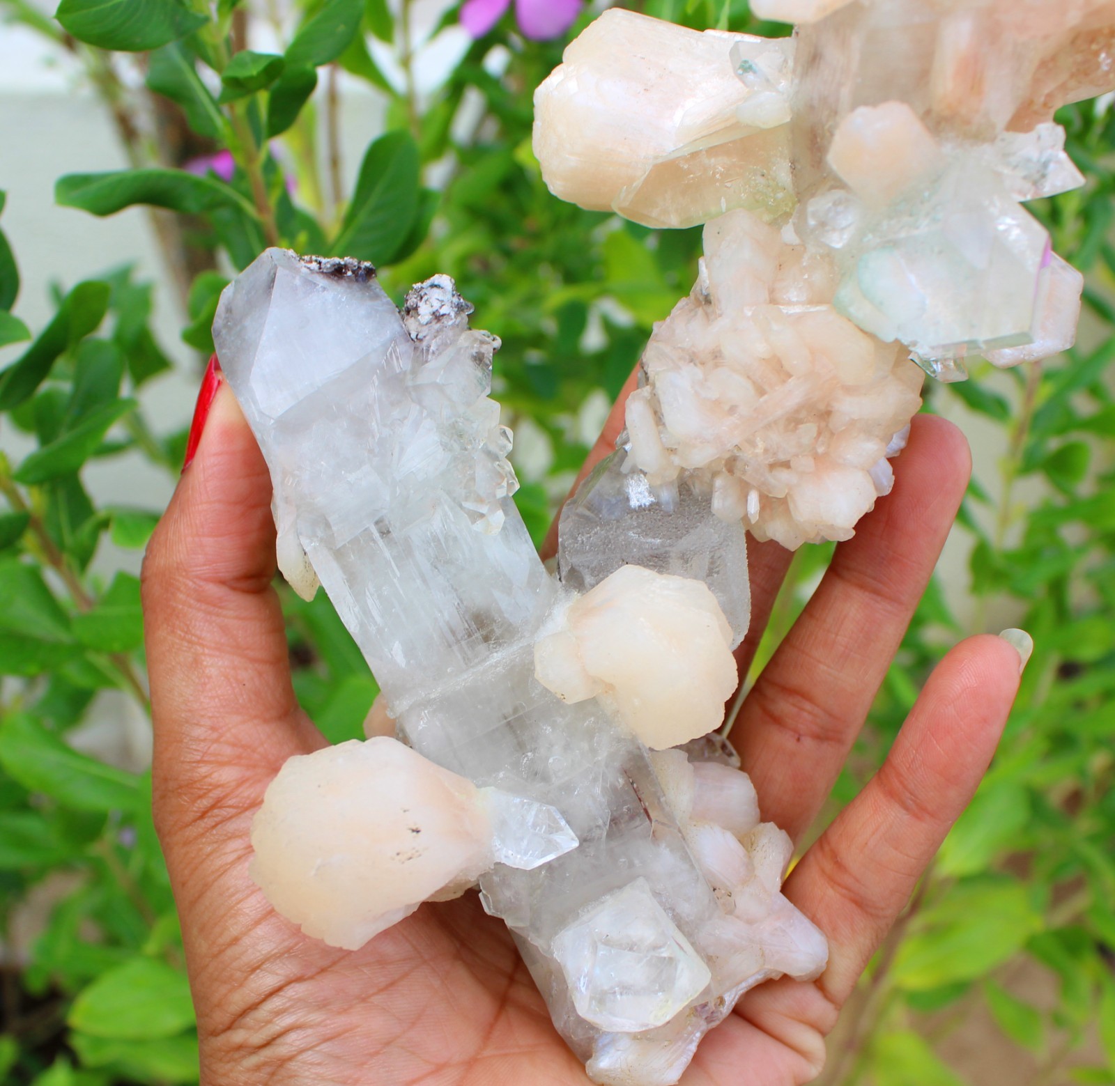 Apophyllite Crystals w/ Stilbite Formation Minerals Specimen ( 21×10 ) REPAIR