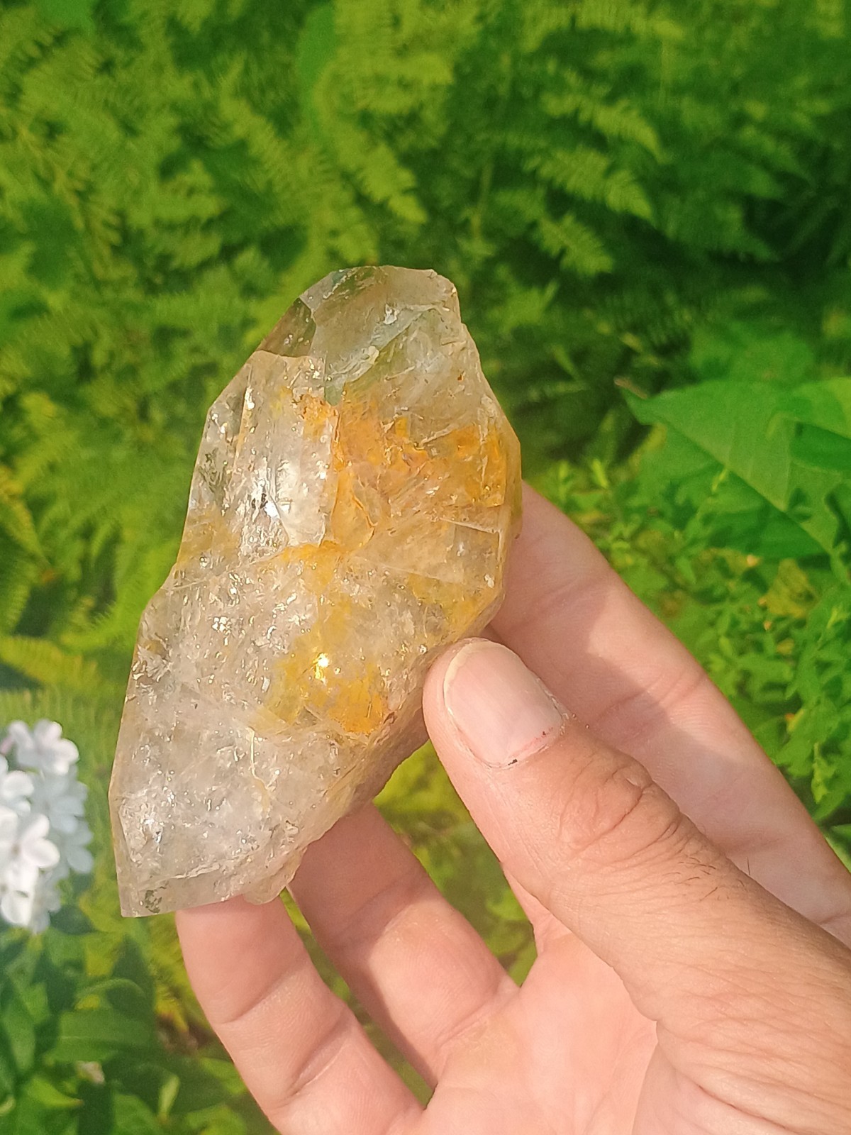 (RARE!!!) Herkimer 💎 Golden Healer Miner Direct From NY ❤️