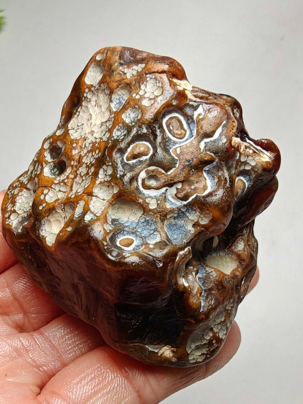 Rare China Inner Mongolia Gobi Eye Agate Stone Specimen Natural Designer 152G
