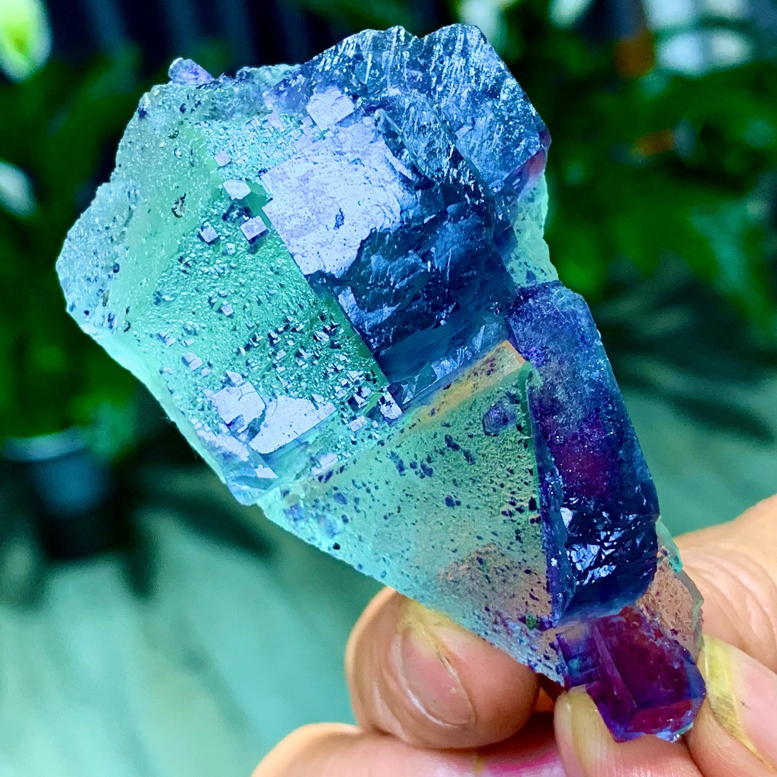 86G Rare transparent green purple cubic Zhejiang fluorite mineral sample