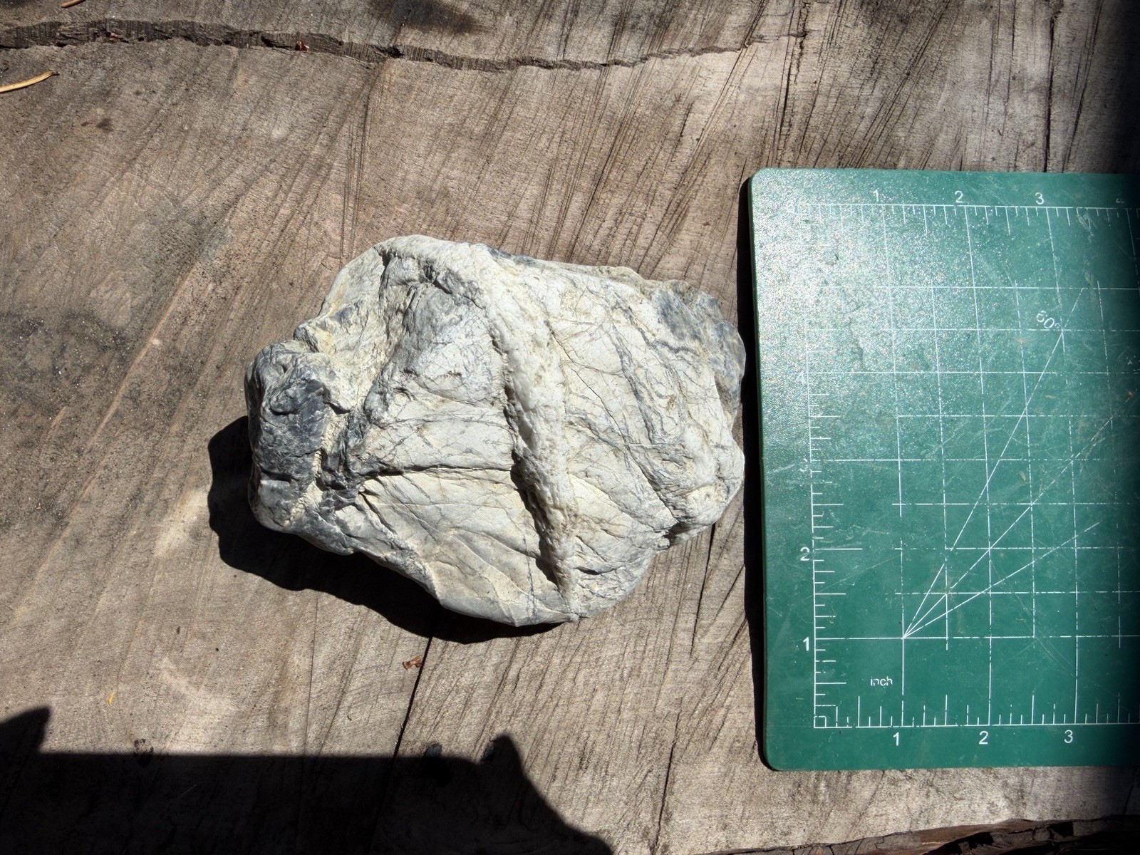 Unique Quartz Veined River Stone Natural Abstract Sculpture Display Specimen