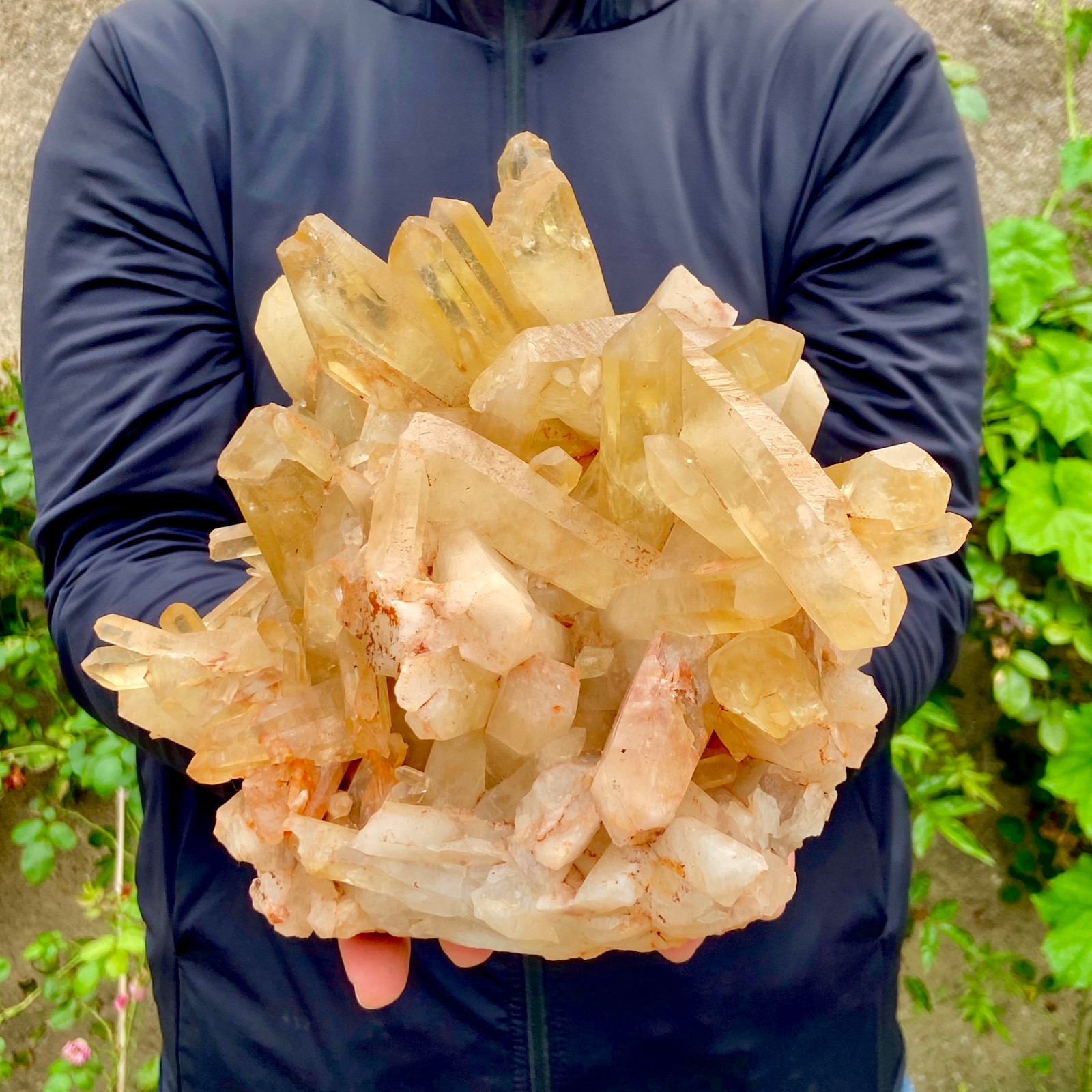 8.04LB Natural citrine cluster mineral specimen quartz crystal restoration