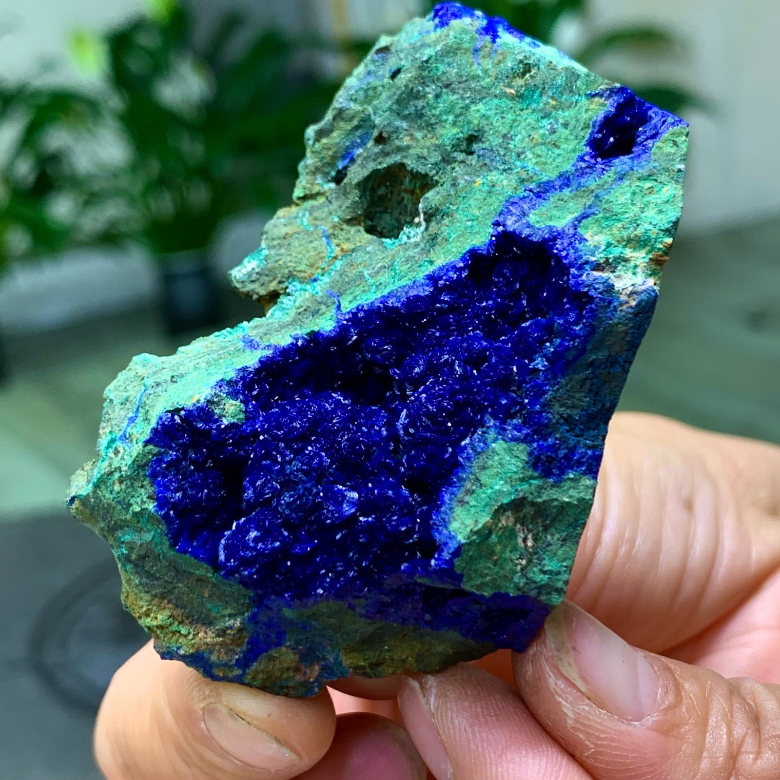 101G BEST Natural Azurite/Malachite crystal minerals specimens