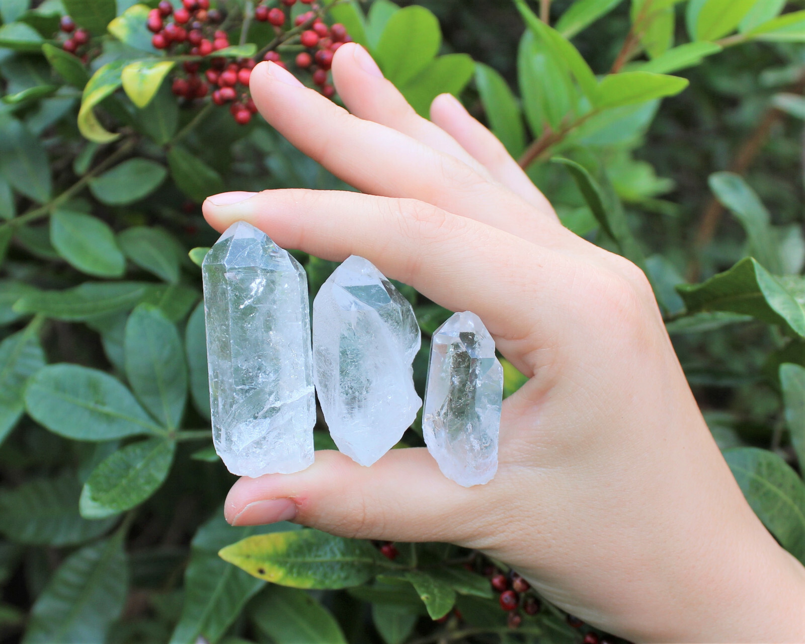 Lot of 3 LARGE Clear Quartz Point Crystals: 1″ – 1.5″ Crystal Points (US Seller)
