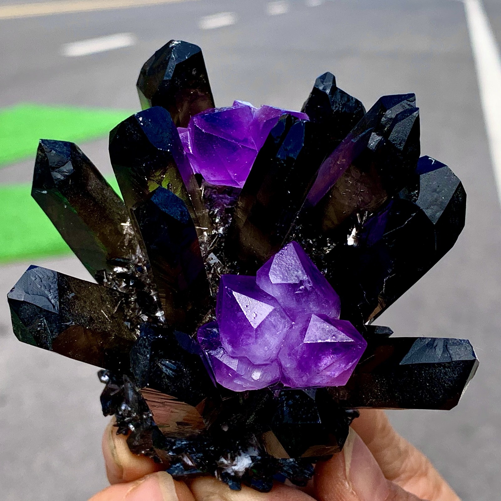 268G New Find black+purple Phantom Quartz Crystal Cluster Mineral Specimen