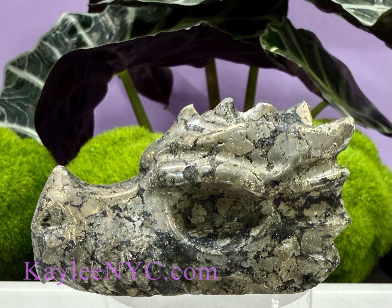 Wholesale Lot 5 Pcs 7.5cm Natural Black Pyrite Dragon Head