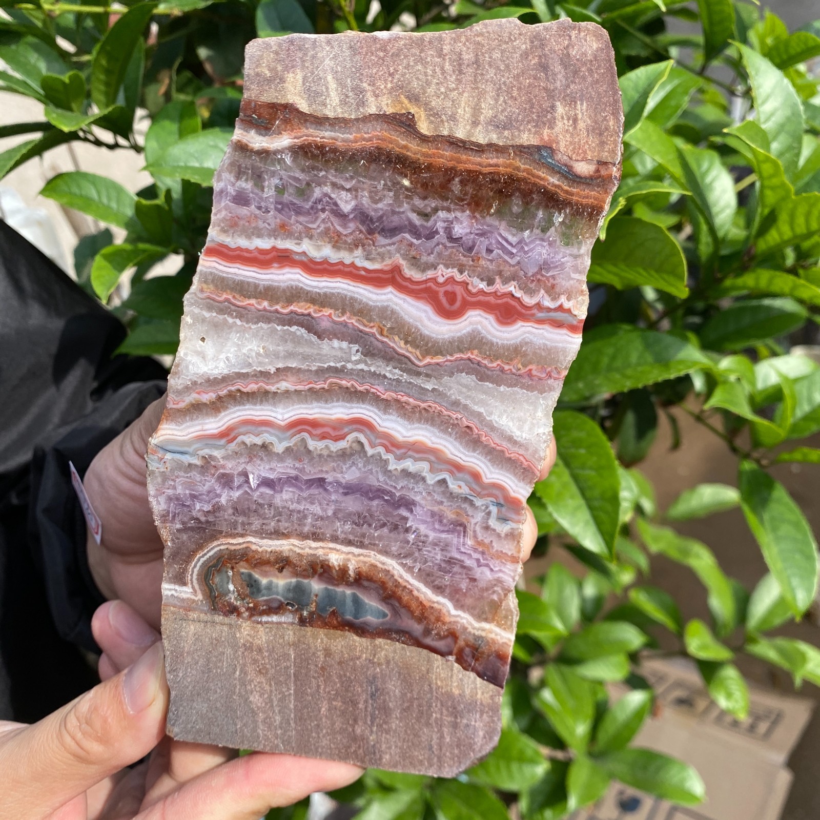 290g Natural Rare Amethyst Lace Agate Slab Quartz Crystal Reiki Healing
