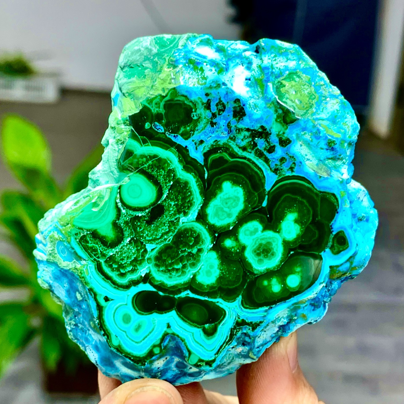 205G Natural Chrysocolla/Malachite transparent cluster rough mineral sample