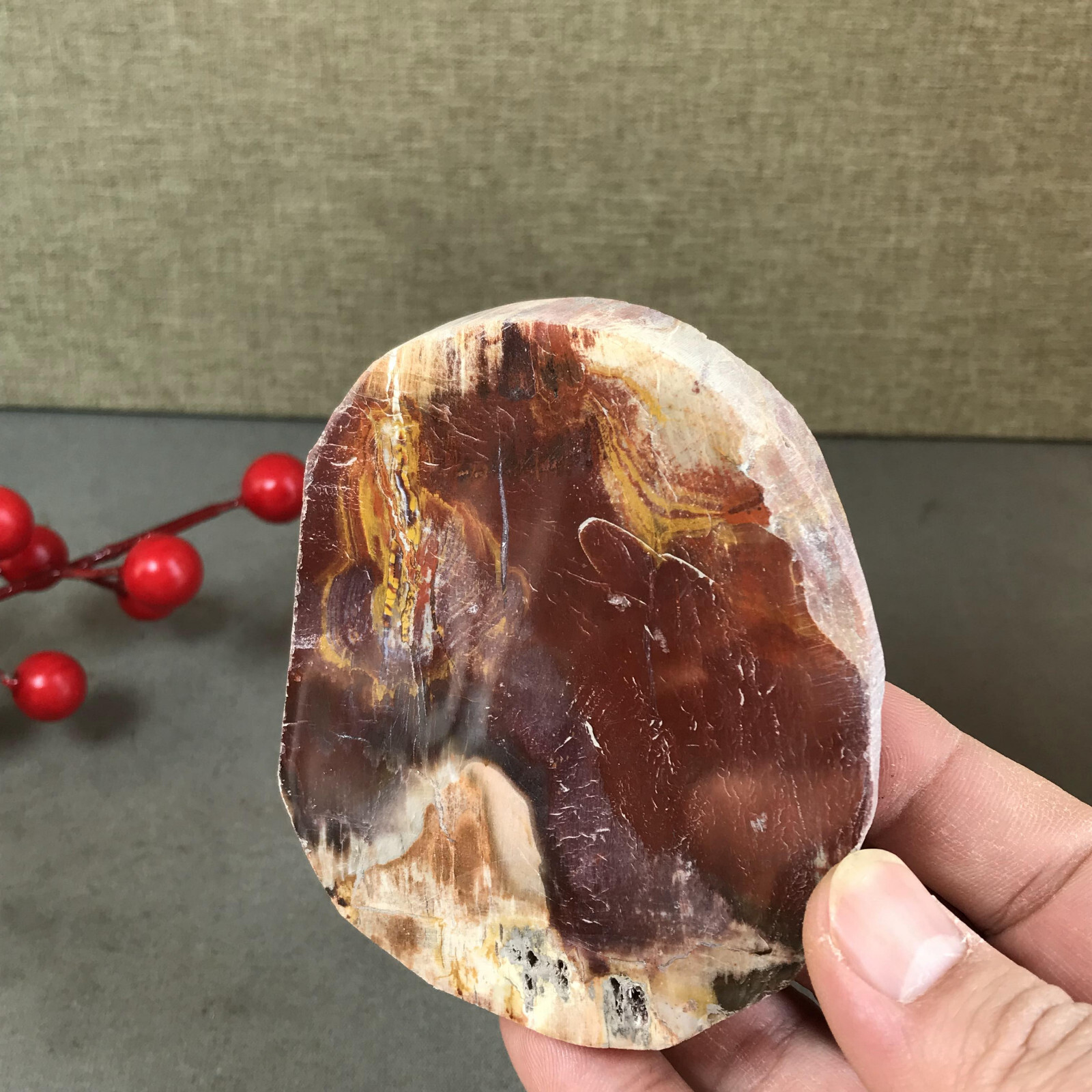 92mm natural Beautiful Petrified Wood Crystal Slice mineral specimen 266g A5424