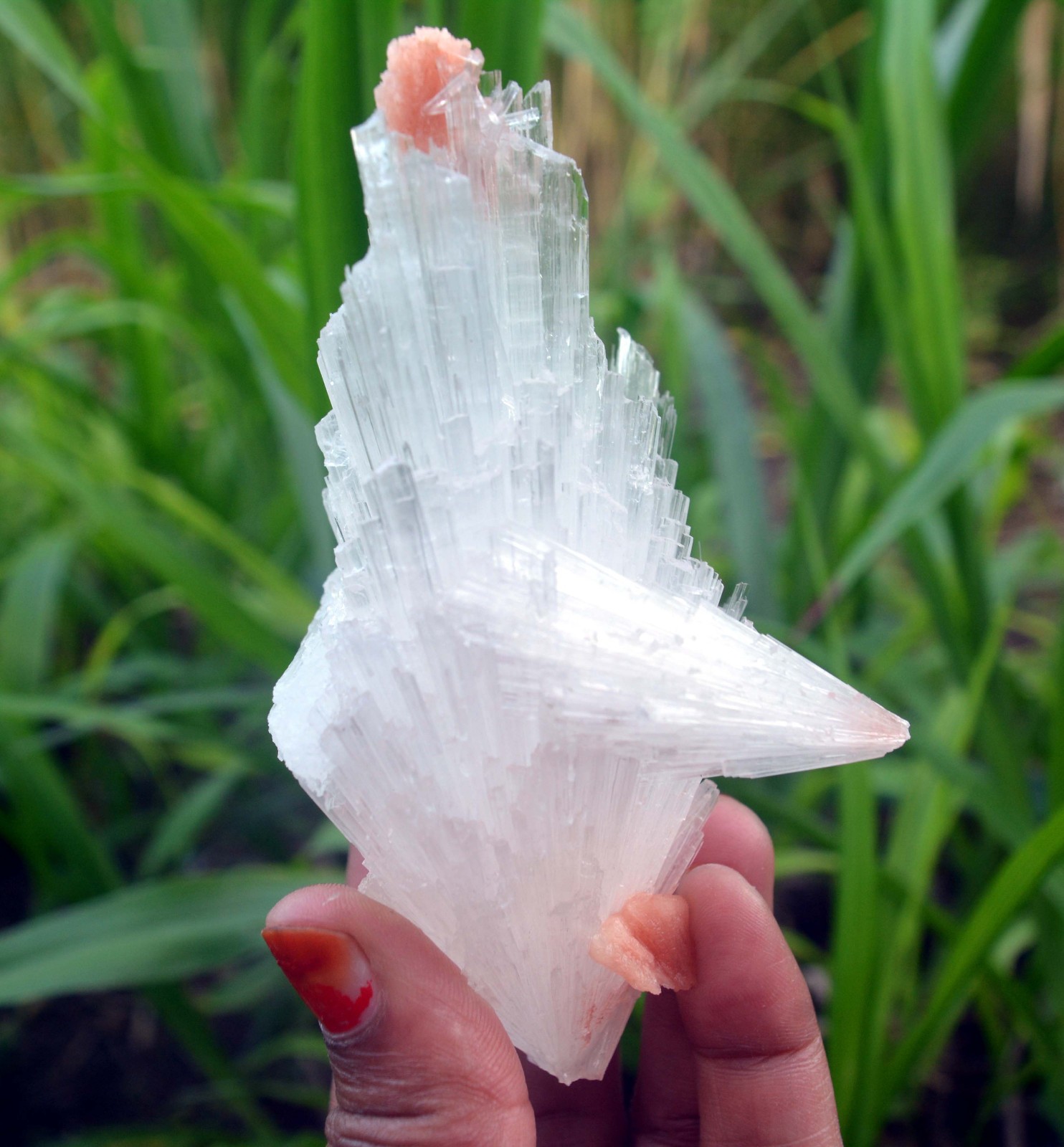scolecite spray w/ stilbite formation minerals specimen j-7