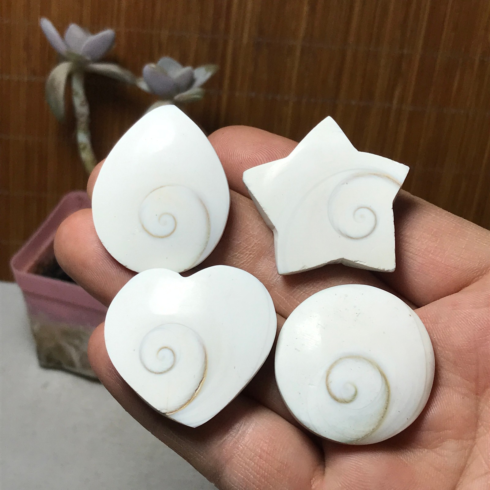 4Pcs Natural sun shell star Heart Reiki Shiva Eye ocean quartz carve A3331