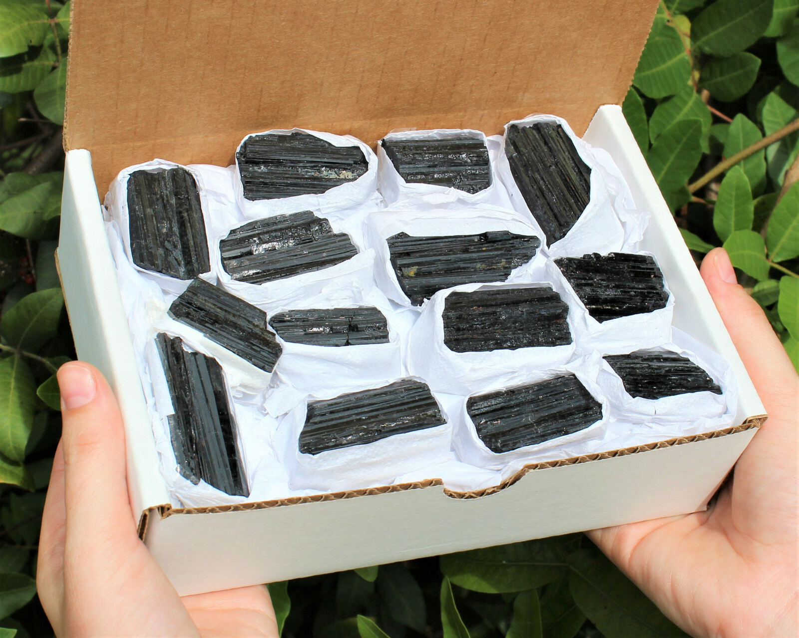 Bulk Extra Grade Shiny Natural Rough Black Tourmaline Rod Log Box 14 – 18 Piece