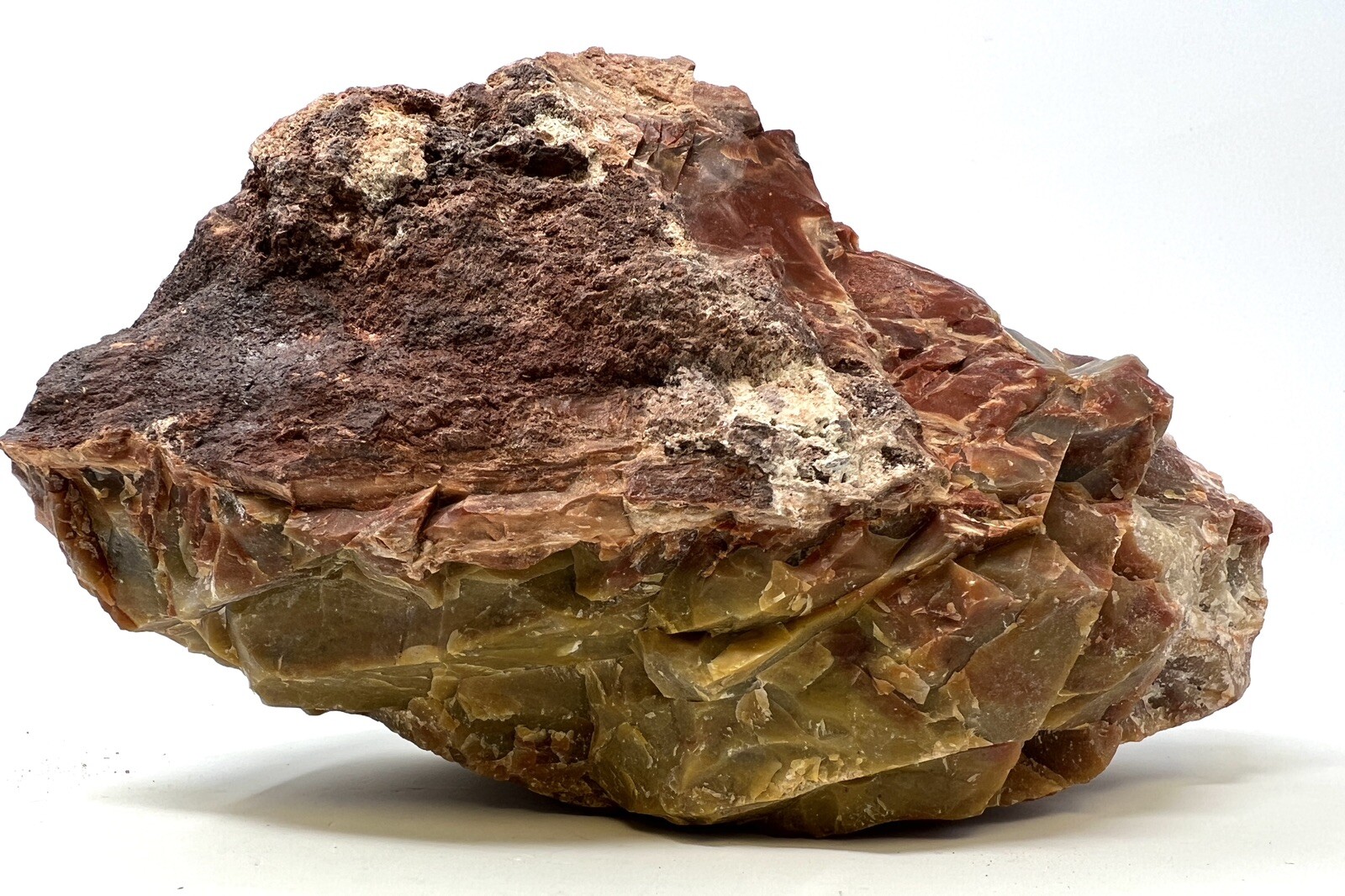 Loose Natural Stone – United States: Raw Petrified Wood RARE Agatized 4lb 4oz
