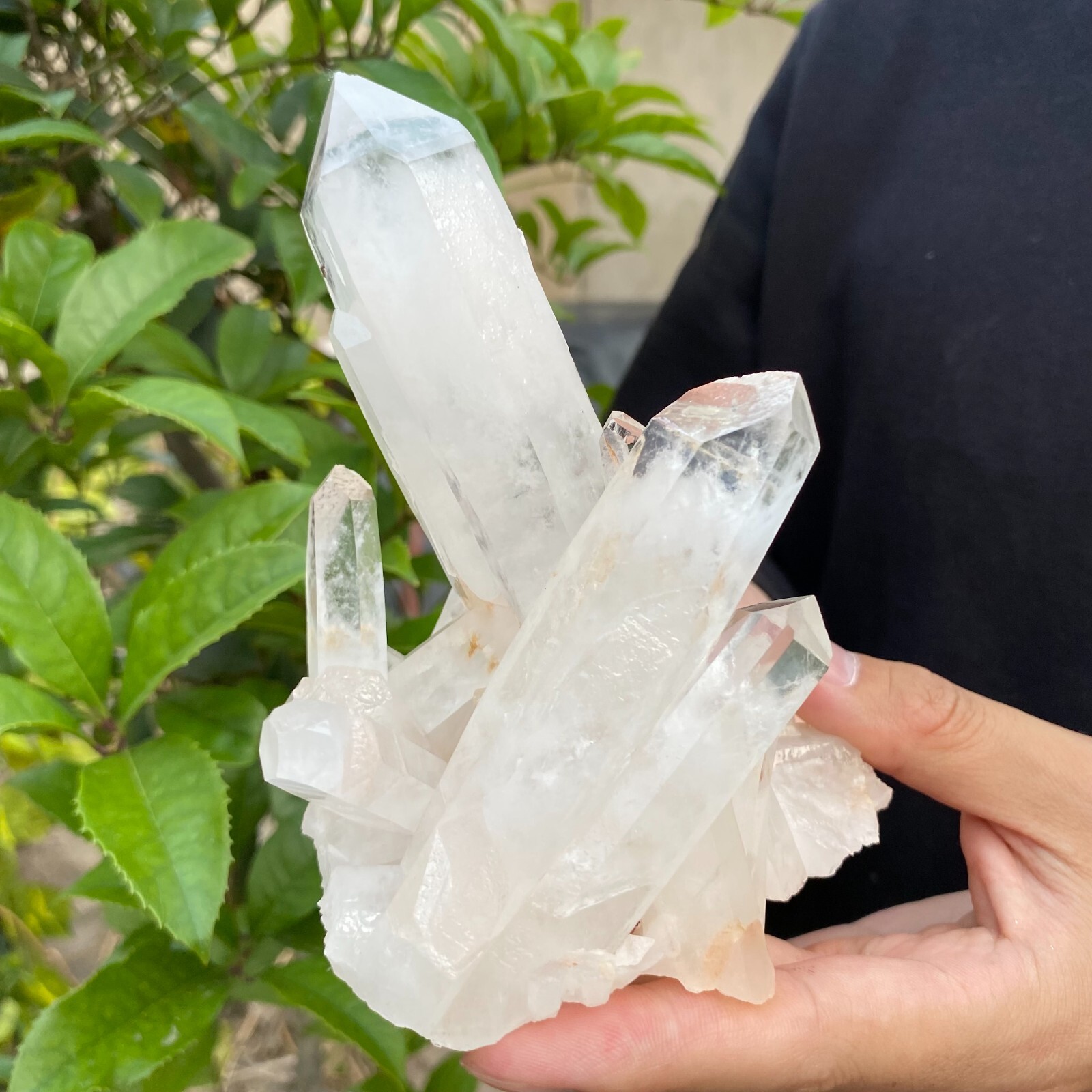 1.1lb Natural Clear White quart Crystal Cluster Raw Healing Specimen