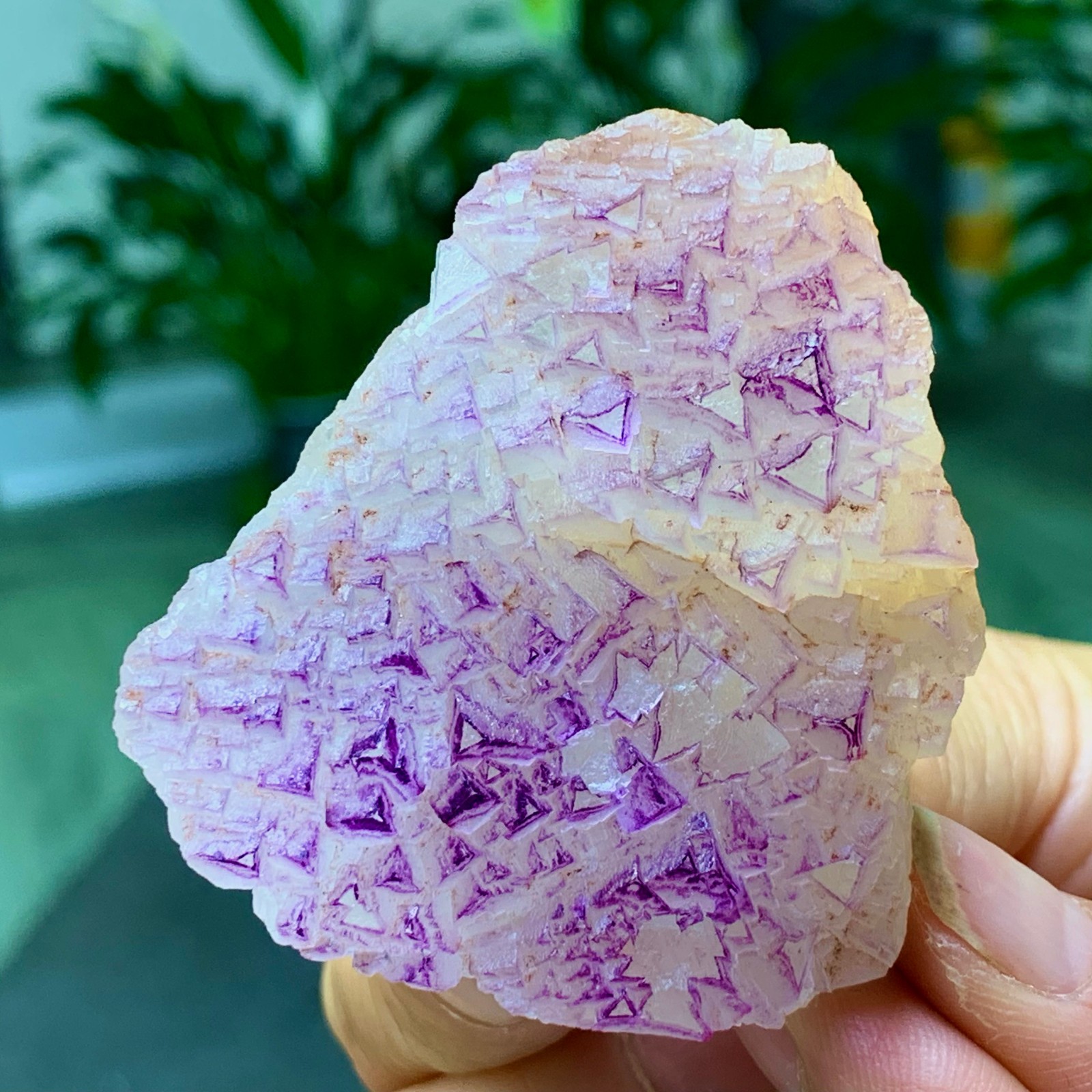 100G Natural fluorite purple edged cubic crystal mineral sample