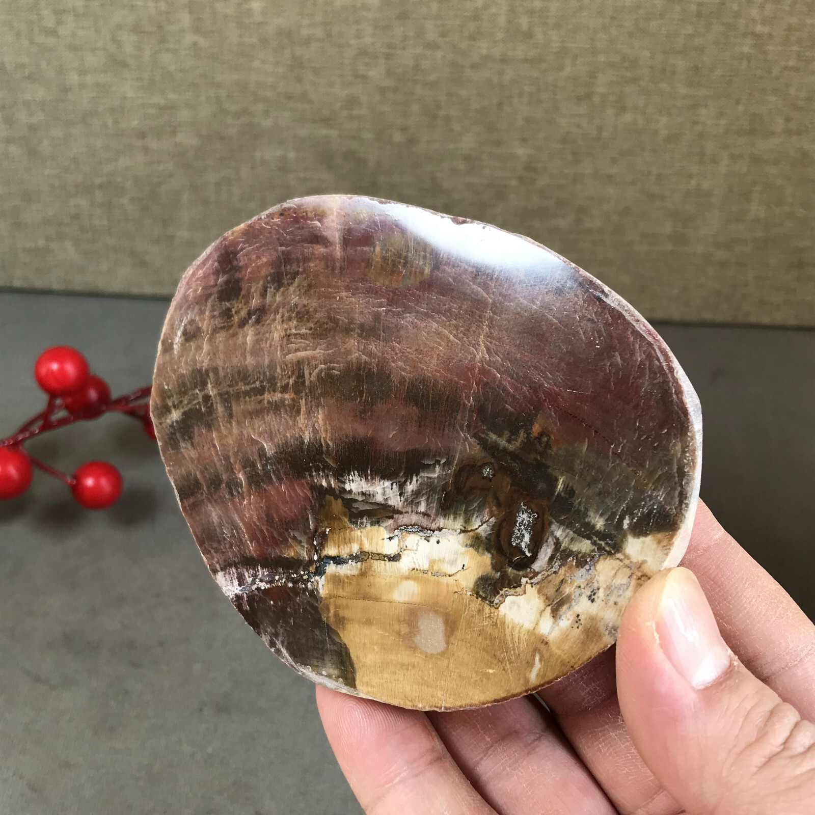 97mm natural Beautiful Petrified Wood Crystal Slice mineral specimen 247g A5426