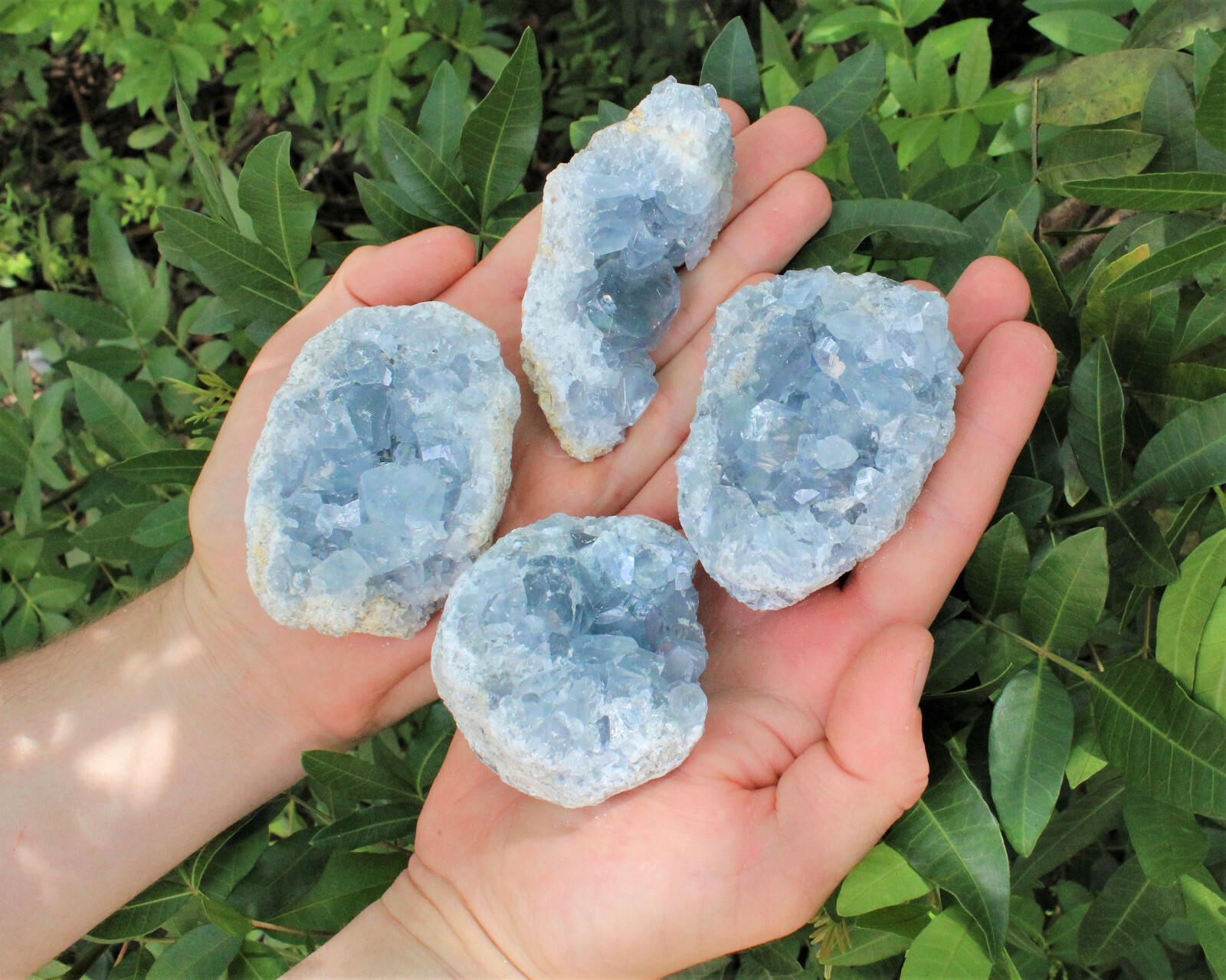 Celestite Crystal Cluster – High Quality Celestite Geodes (Blue Celestite Druze)