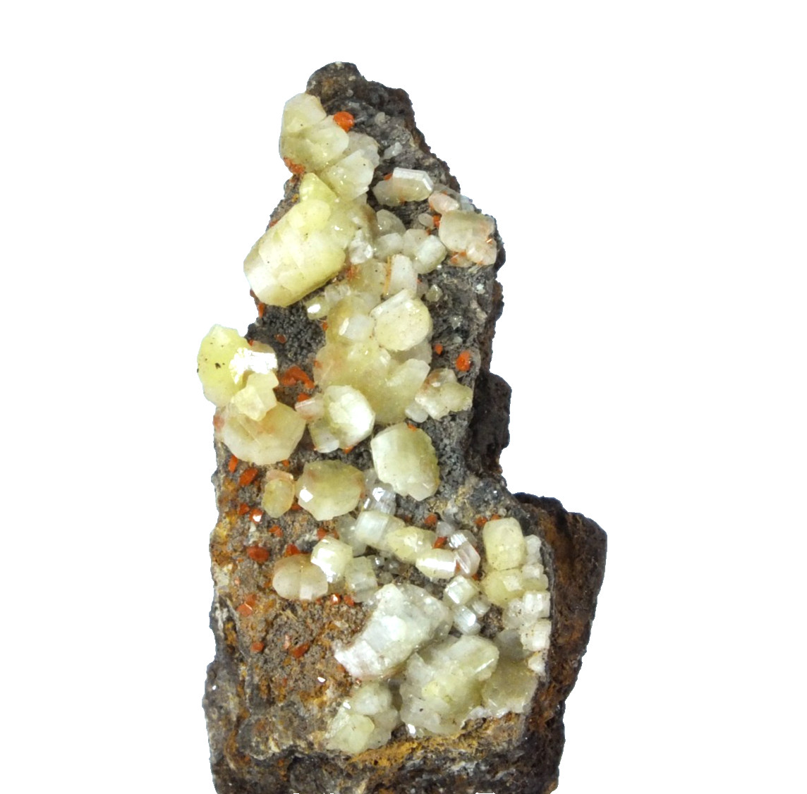 Chrome Cerussite Crystals. Magnet Mine Waratah Tasmania Australia (EA12108)
